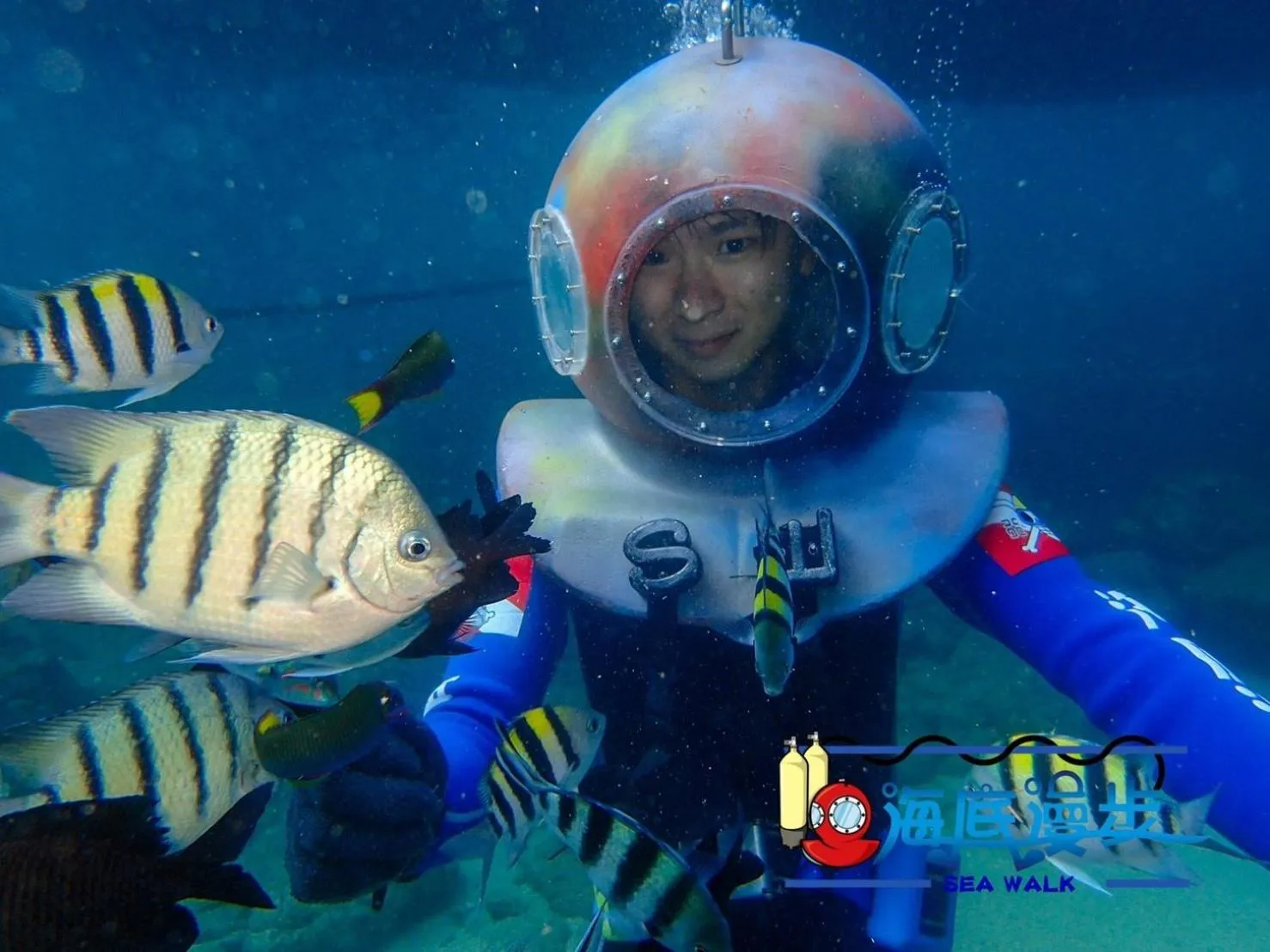 Snorkeling in Penghu Color FIsh Homestay