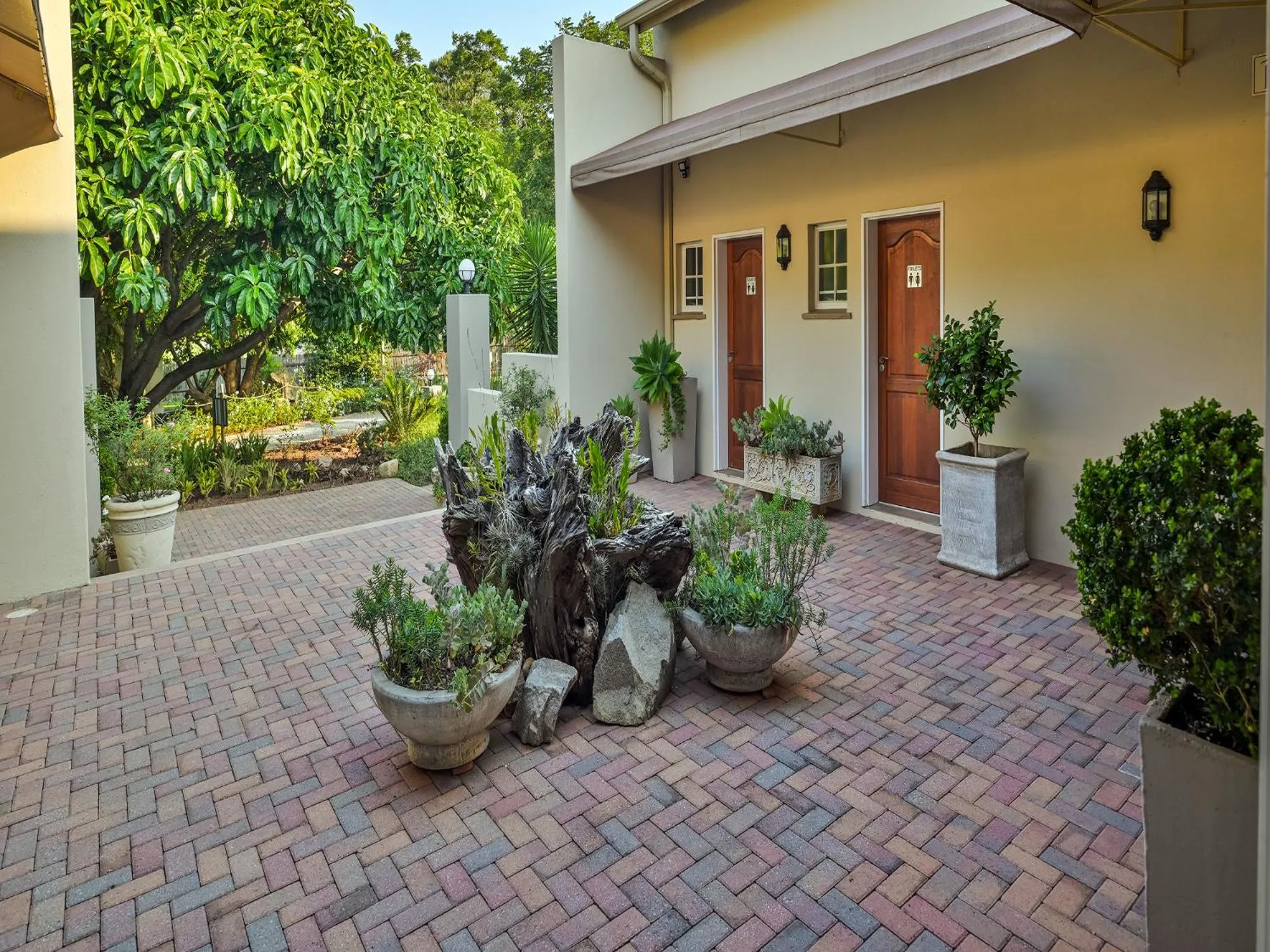 Lobby or reception in Monkey Thorn Lodge & Wellness Spa - Adults Only