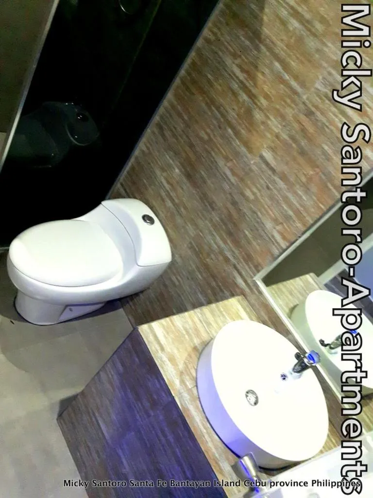 Micky Santoro -Apartments