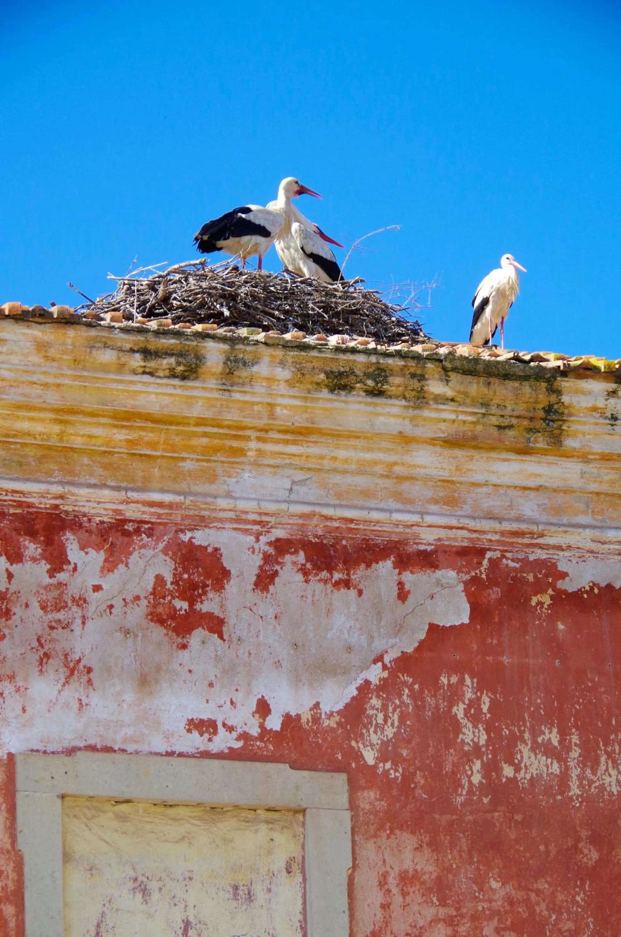 Nearby landmark in Casa Margarida Azul