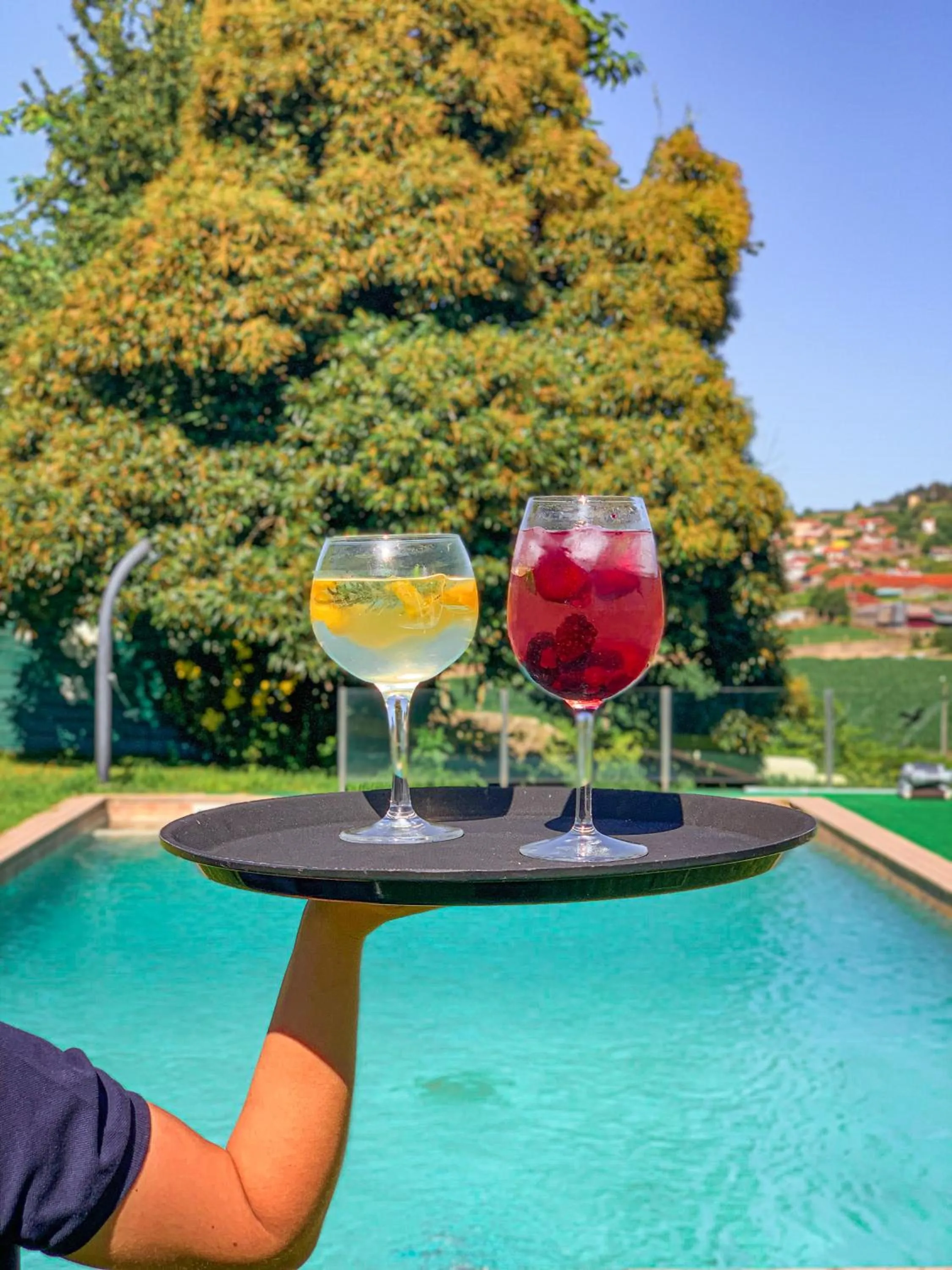 Lounge or bar in Quinta Sao Miguel de Arcos