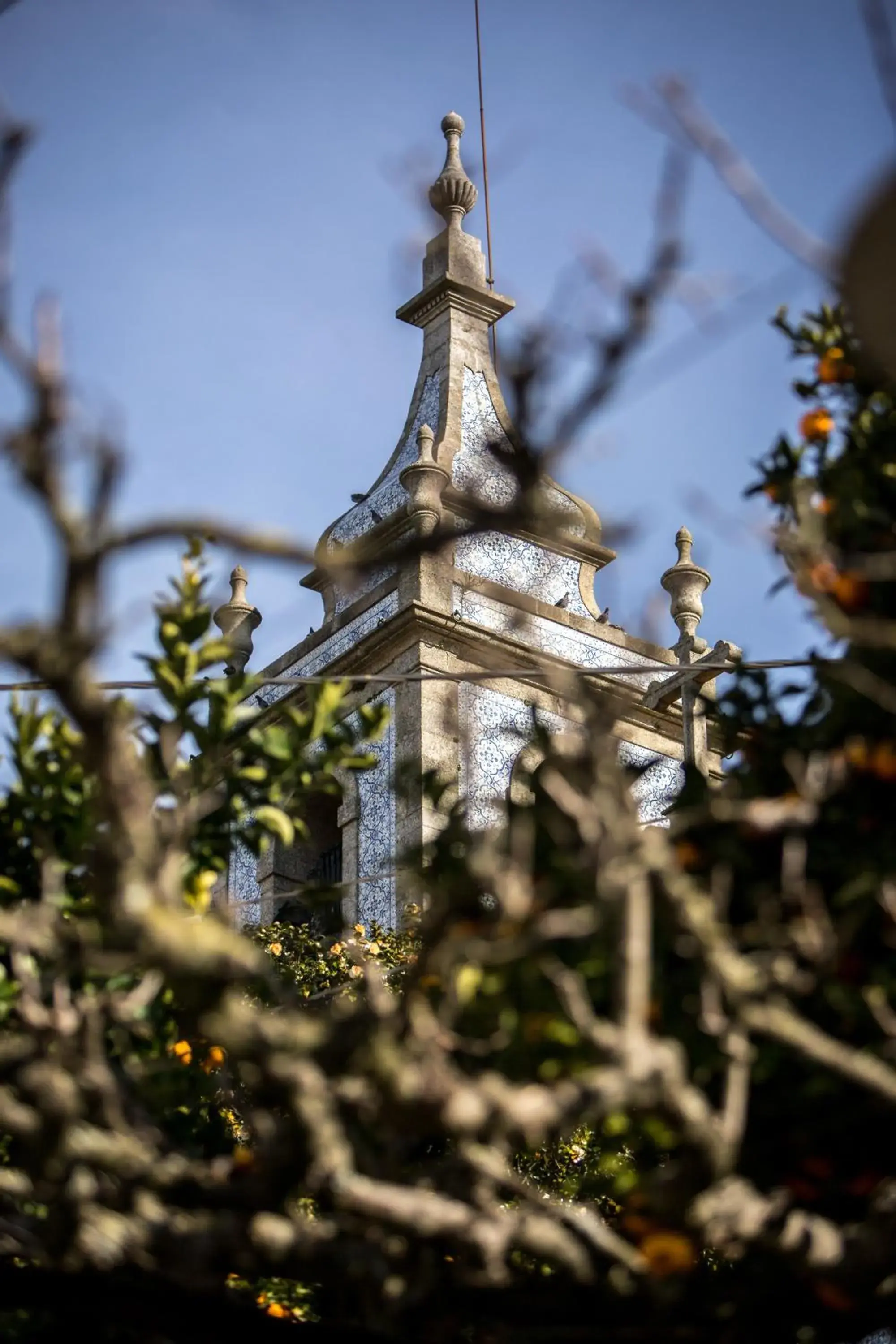 View (from property/room) in Quinta Sao Miguel de Arcos View (from property/room) in Quinta Sao Miguel de Arcos