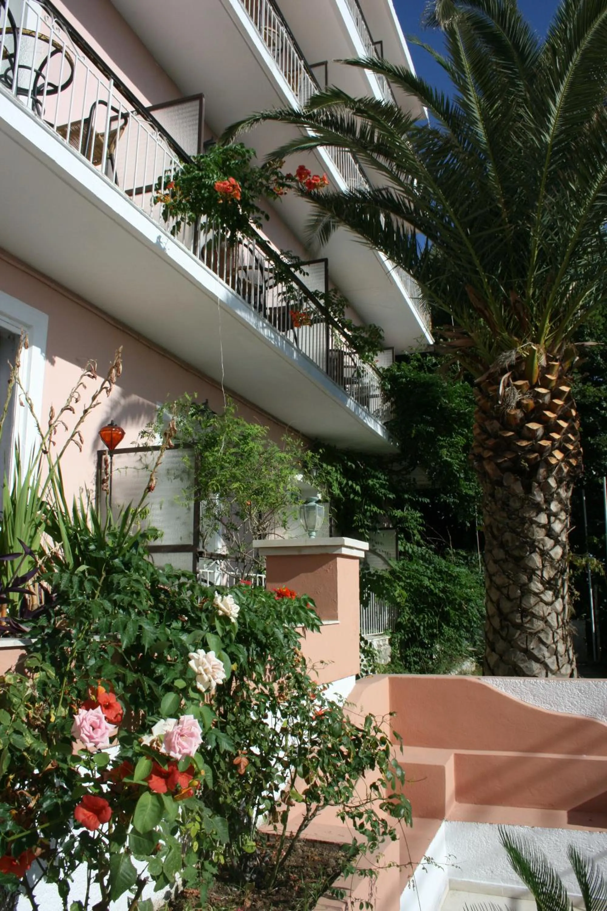 Patio in Aegli Hotel
