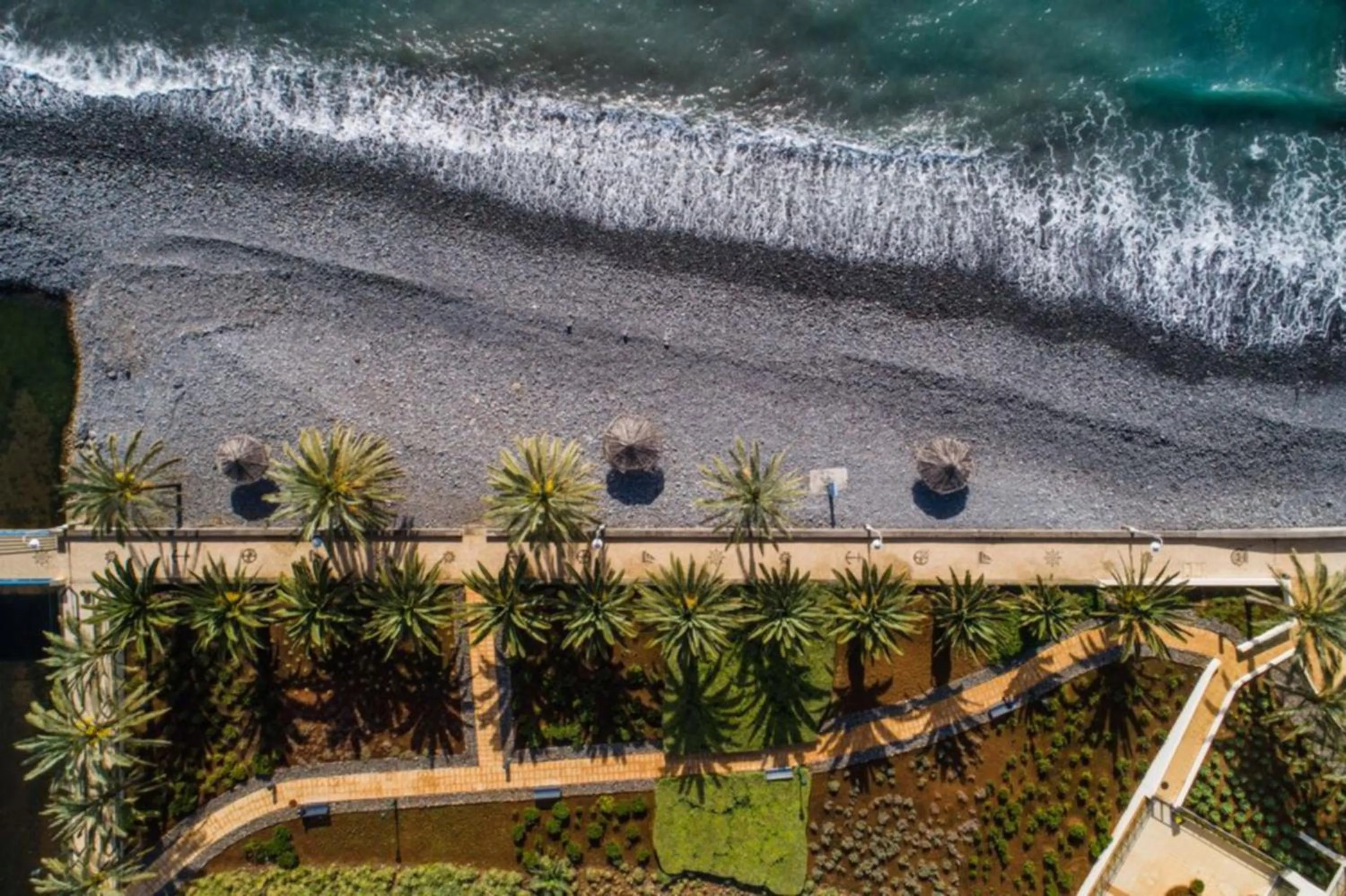 Garden in Vila Gale Santa Cruz