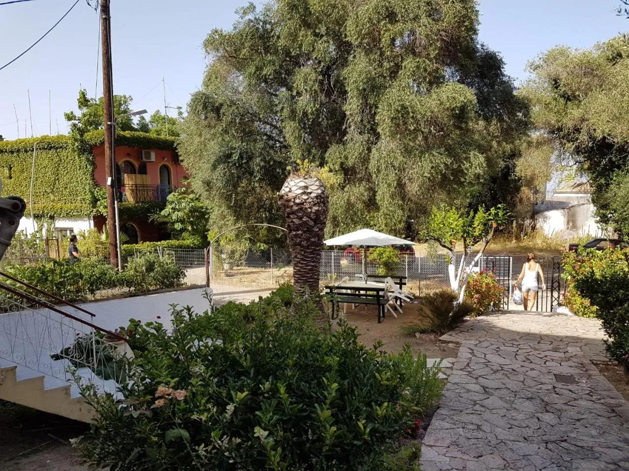 Garden in Gardelis Gardens