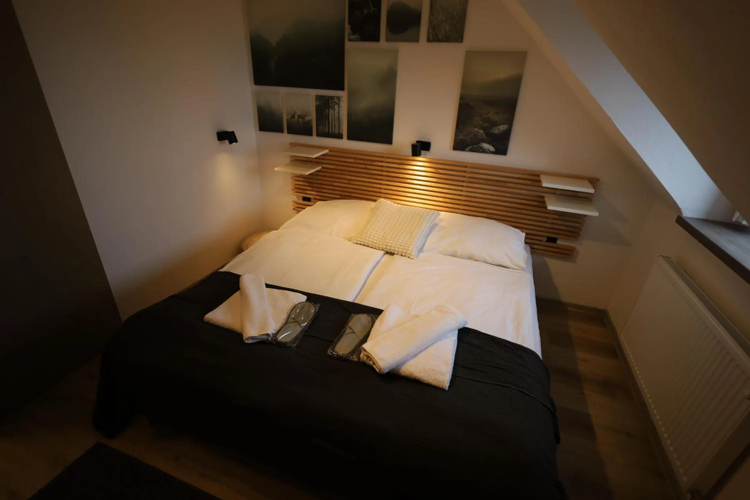 Double Room with Private Bathroom in BILÍKOVA CHATA - Horský hotel