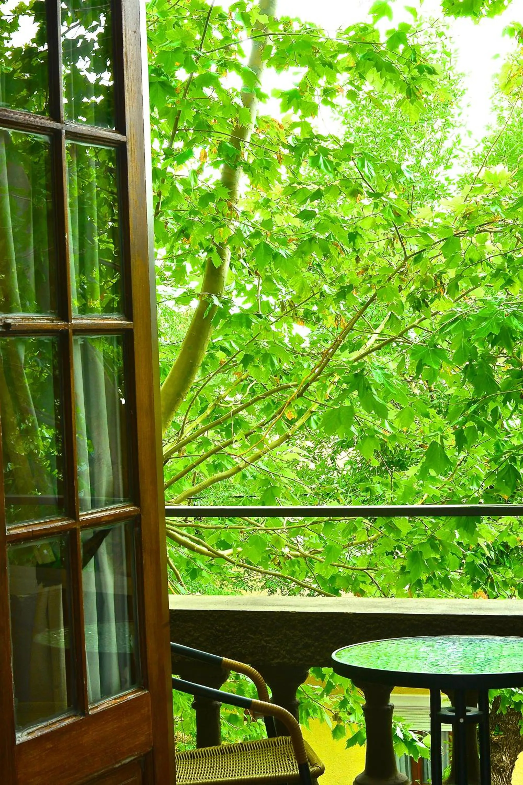 Balcony/Terrace in Posada Boutique Las Terrazas