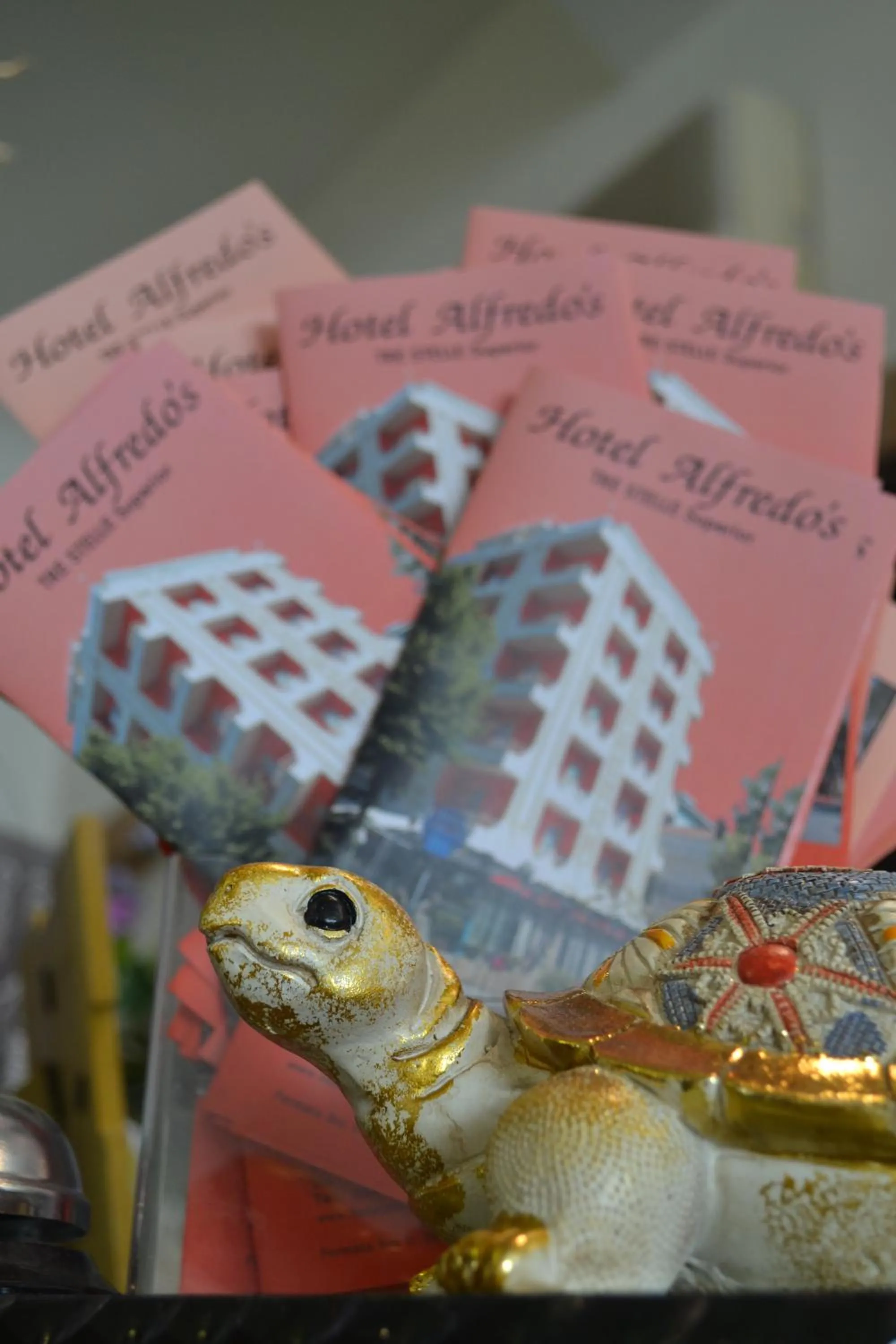 Decorative detail in Hotel Alfredo's