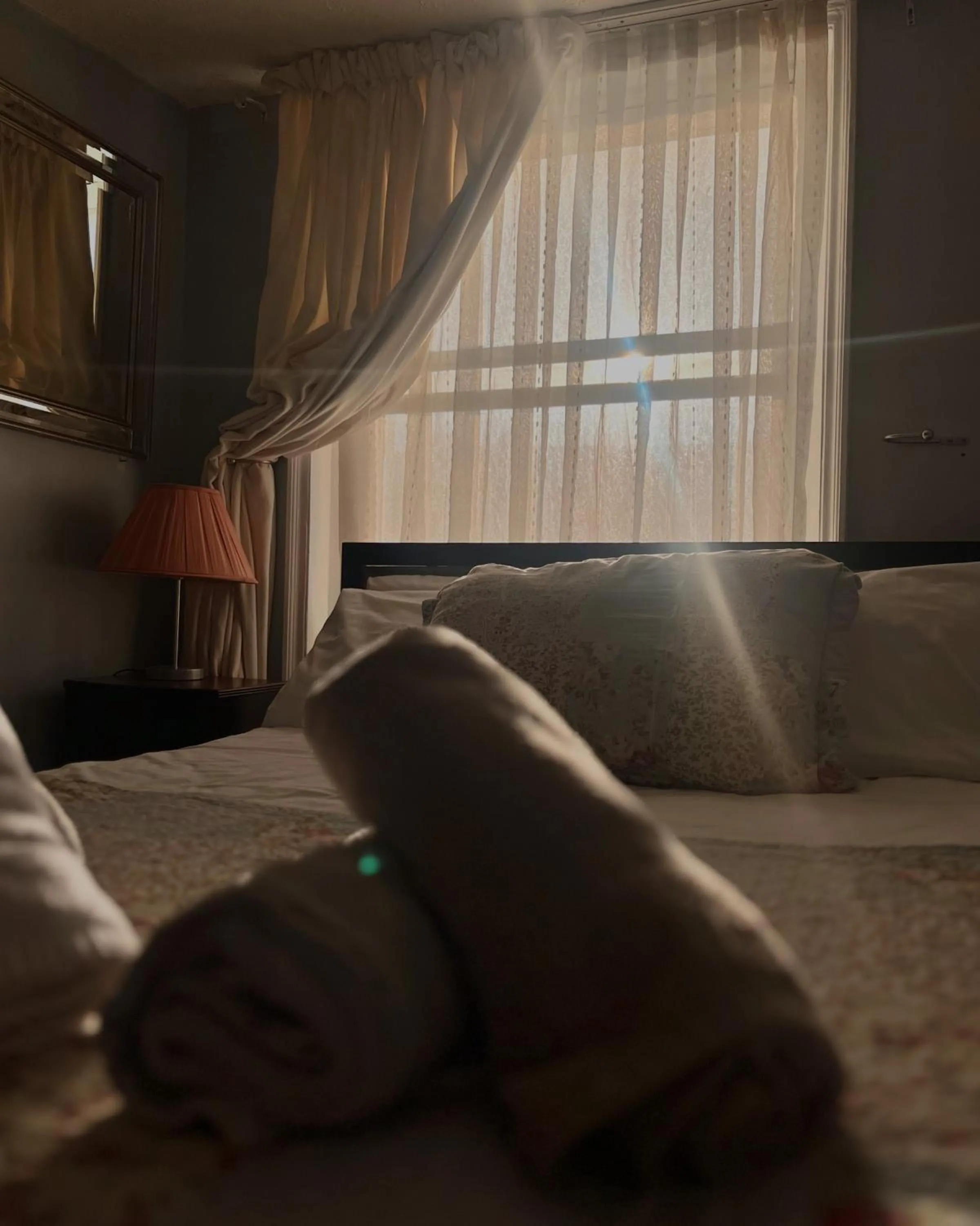 Bed in Relax Inn Guest House