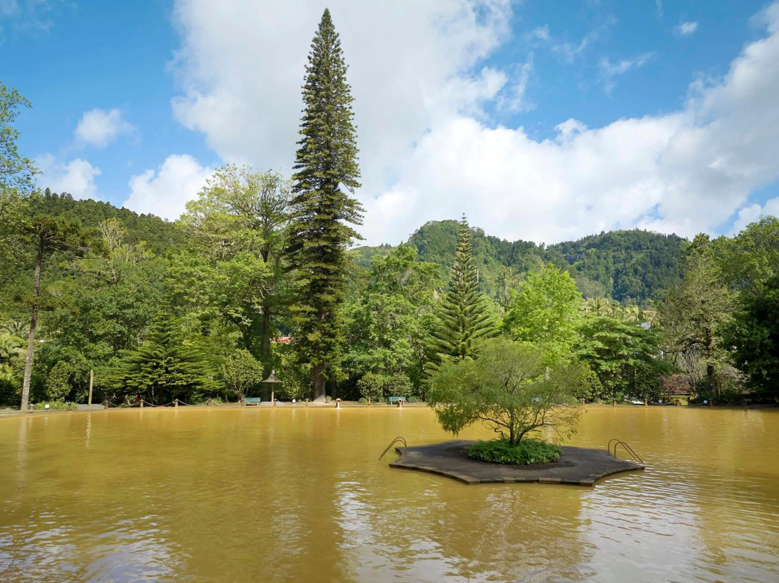 Pool view in Terra Nostra Garden Hotel