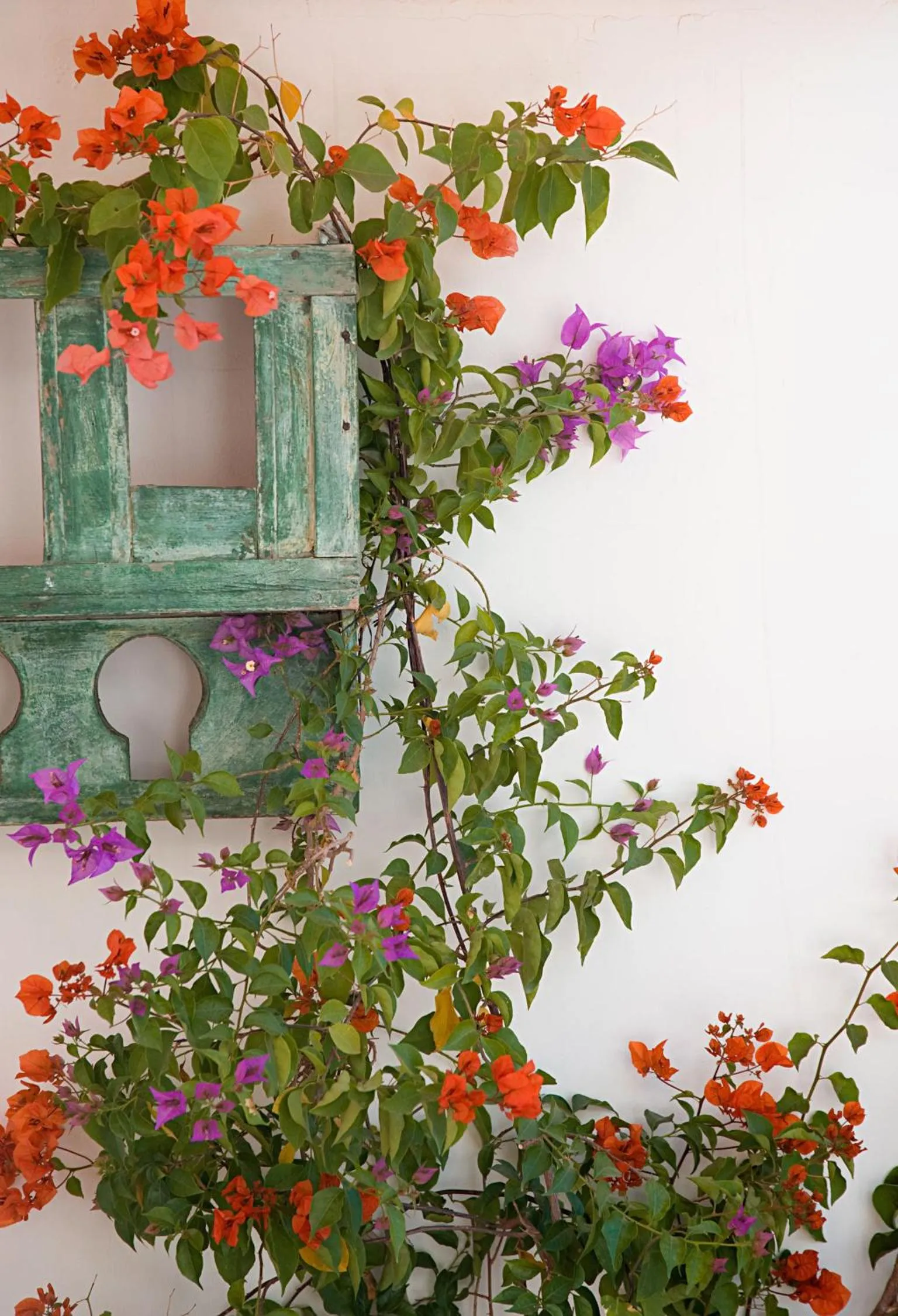 Decorative detail in Riad Le J