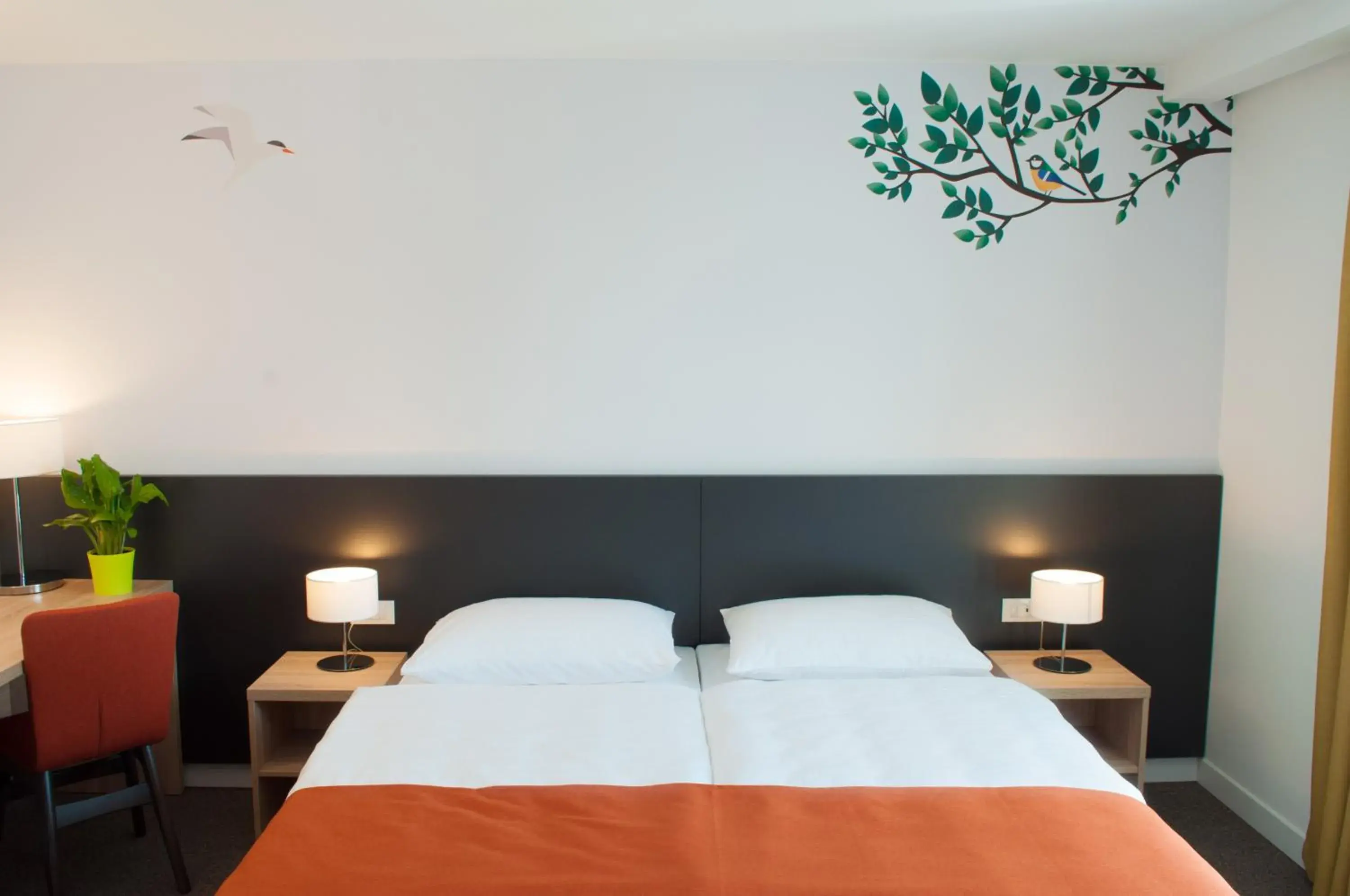 Standard Twin Room in Hotel Park Superior 3* Standard Twin Room in Hotel Park Superior 3*