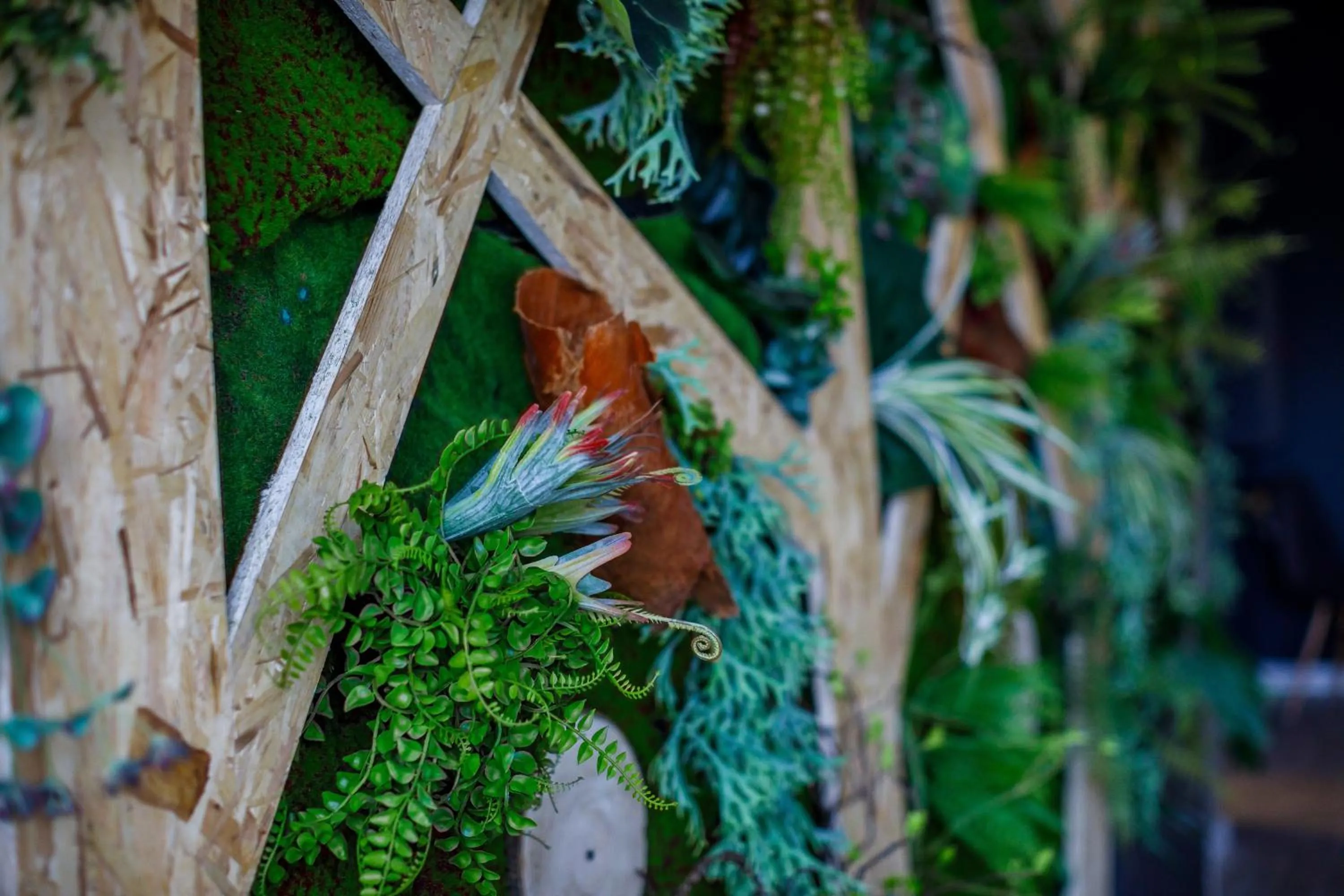 Area and facilities in Sport Hotel Gym + SPA