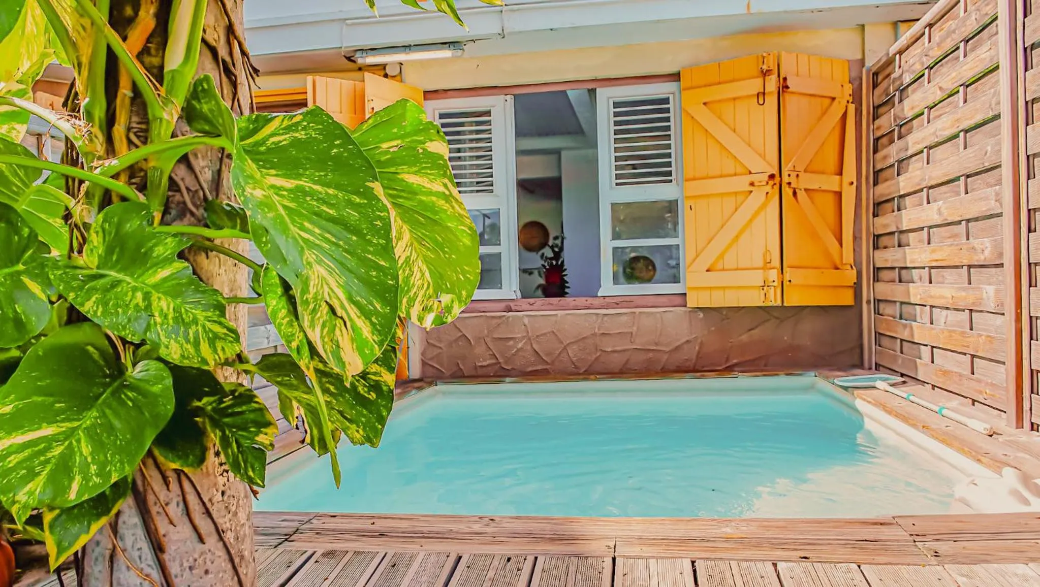Swimming pool in Hotel Oasis