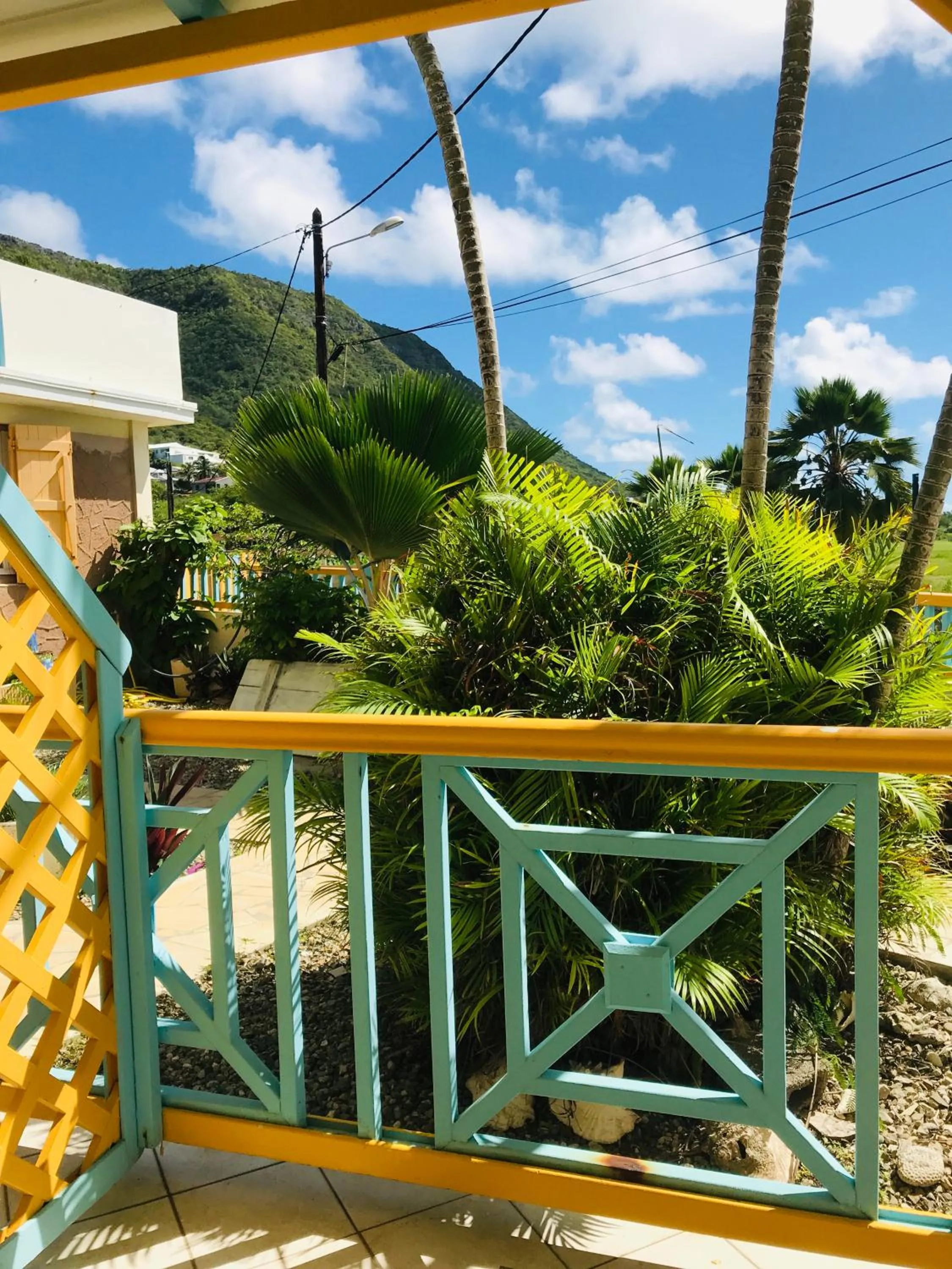 Garden view in Hotel Oasis