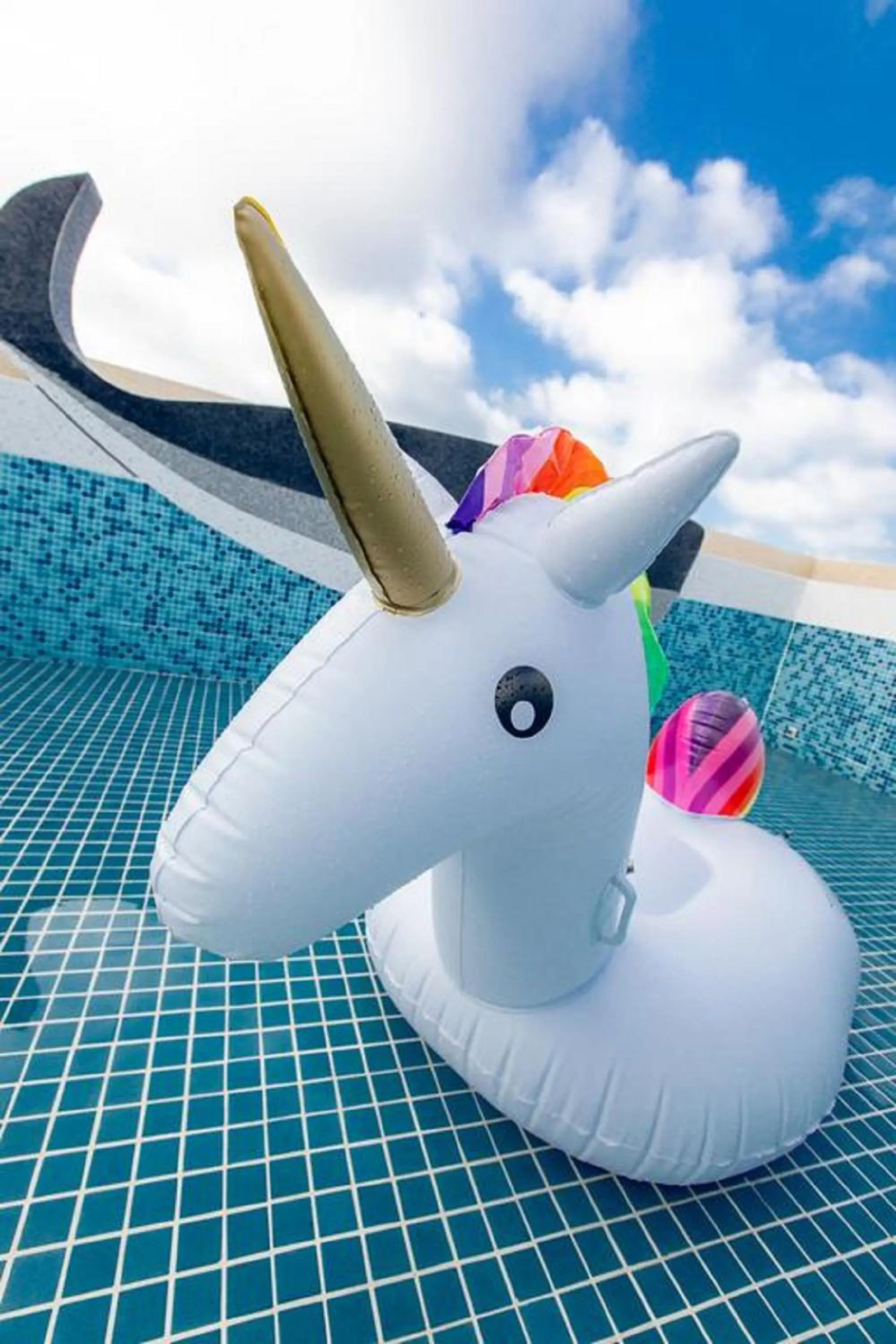 Swimming pool in Kiwi Villa