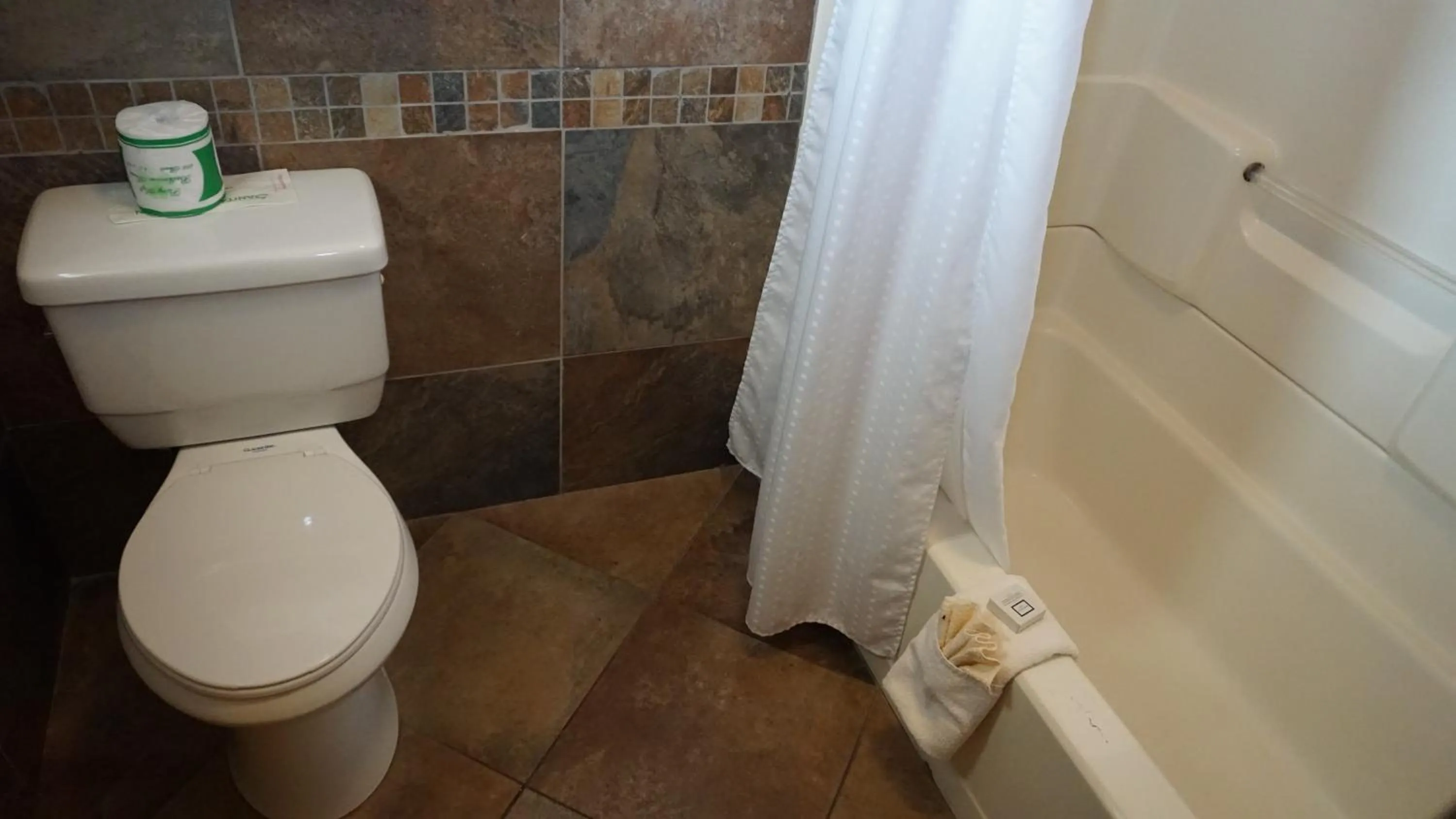 Toilet in Virginia Inn