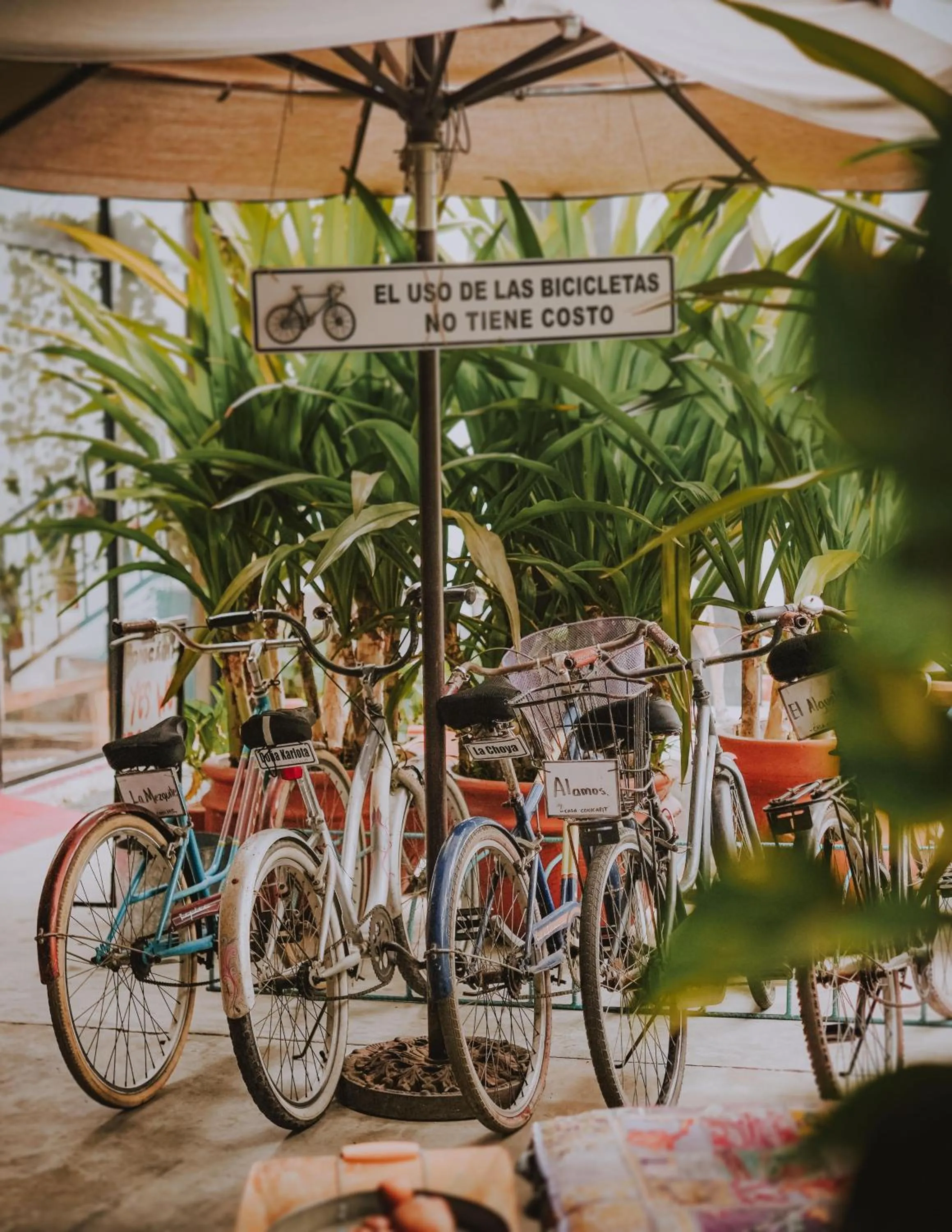 Cycling in Casa Conicarit