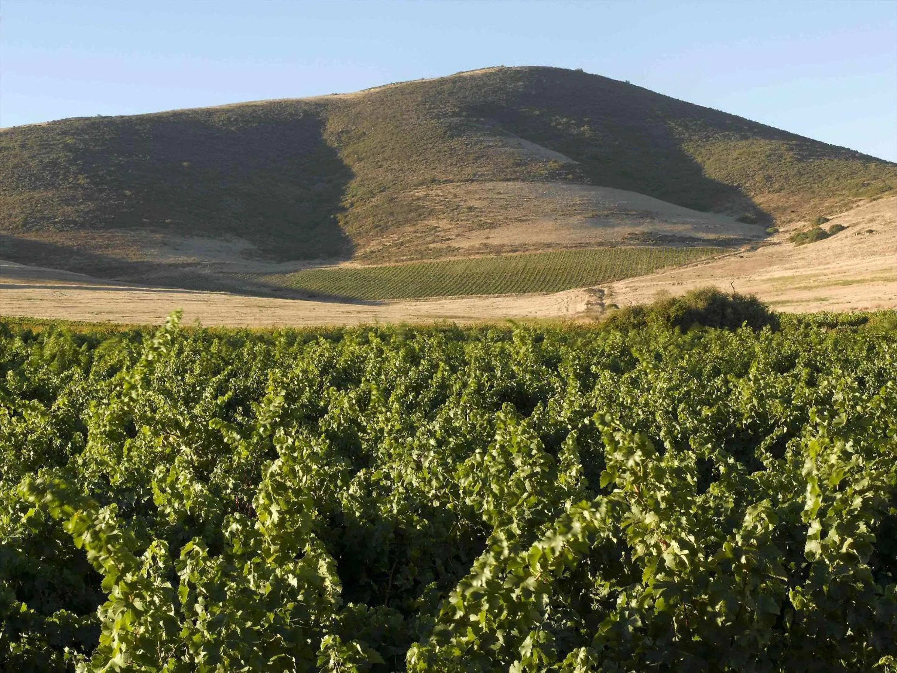 Facade/entrance in Meerendal Boutique Hotel