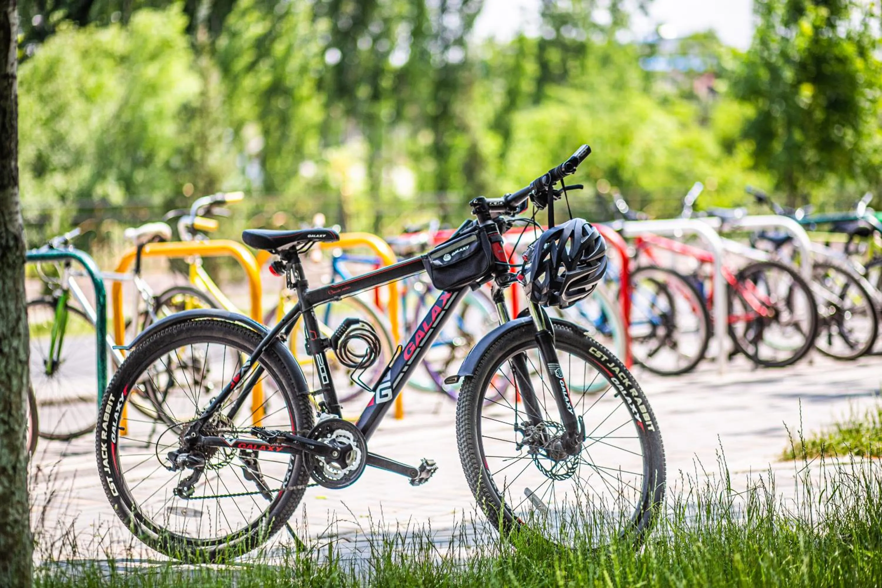 Activities in Rayan Hotel