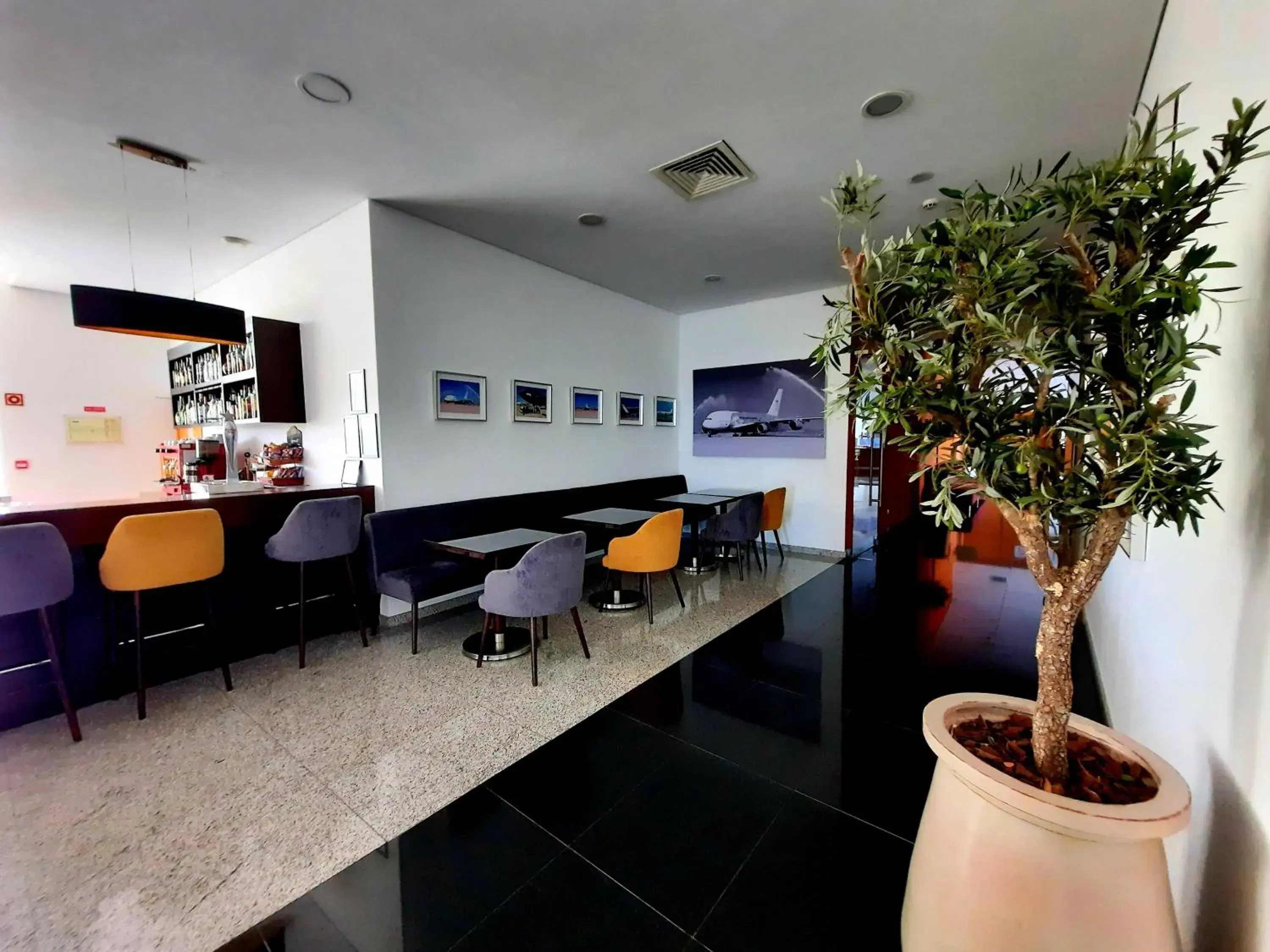 Lounge or bar in BejaParque Hotel Lounge or bar in BejaParque Hotel