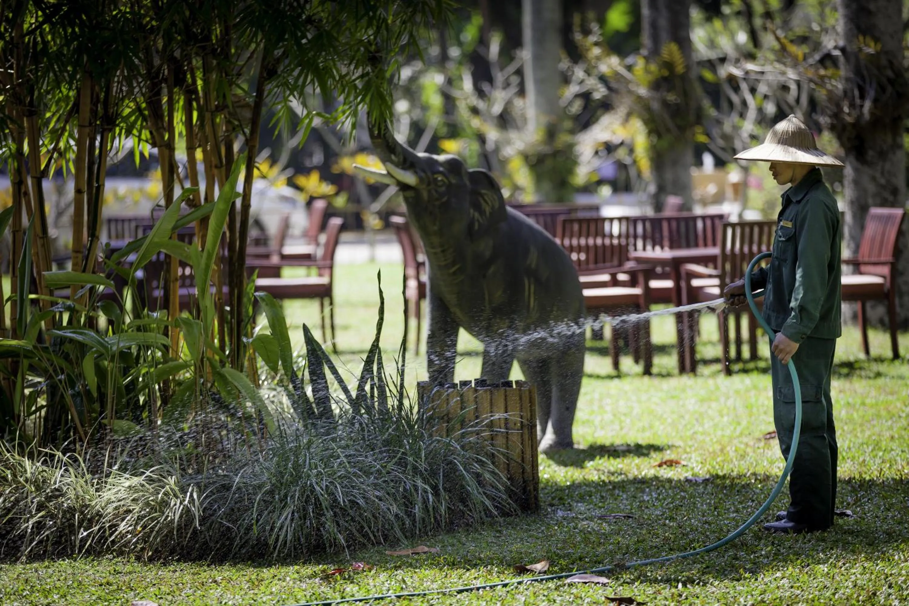 Garden in Homm Souvannaphoum Luang Prabang, part of Banyan Group