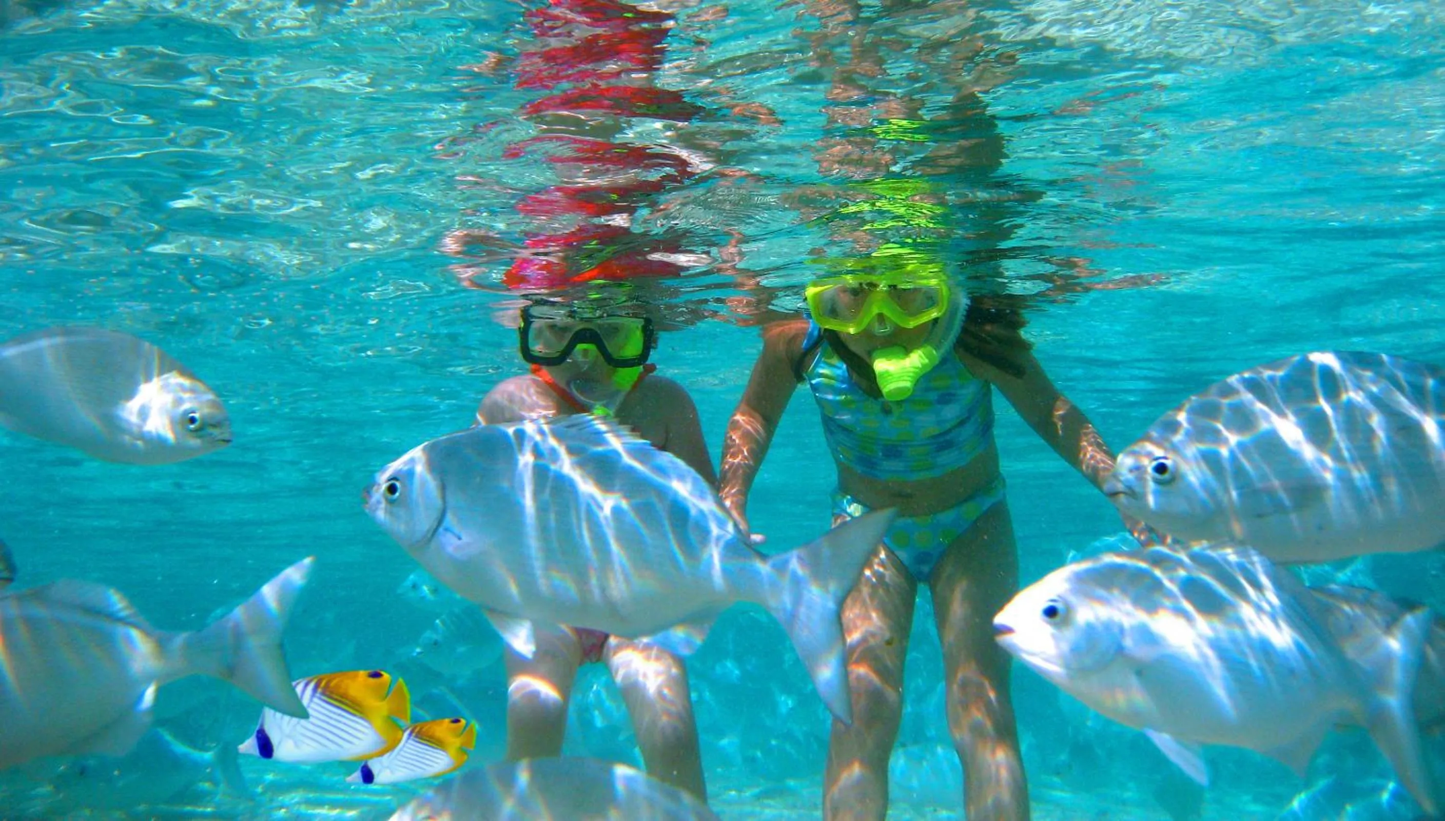 Beach in The Rarotongan Beach Resort & Lagoonarium