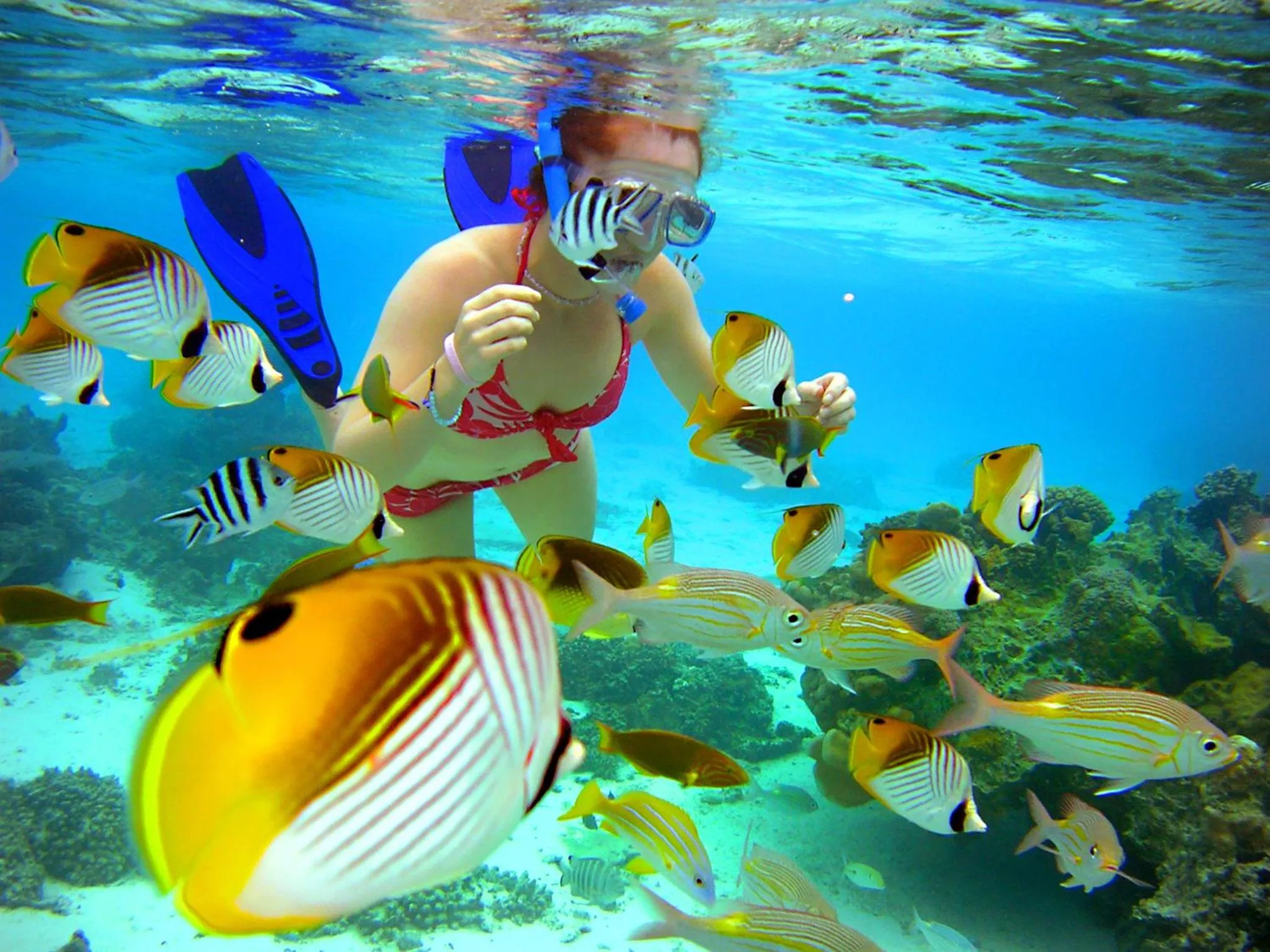 Snorkeling in The Rarotongan Beach Resort & Lagoonarium