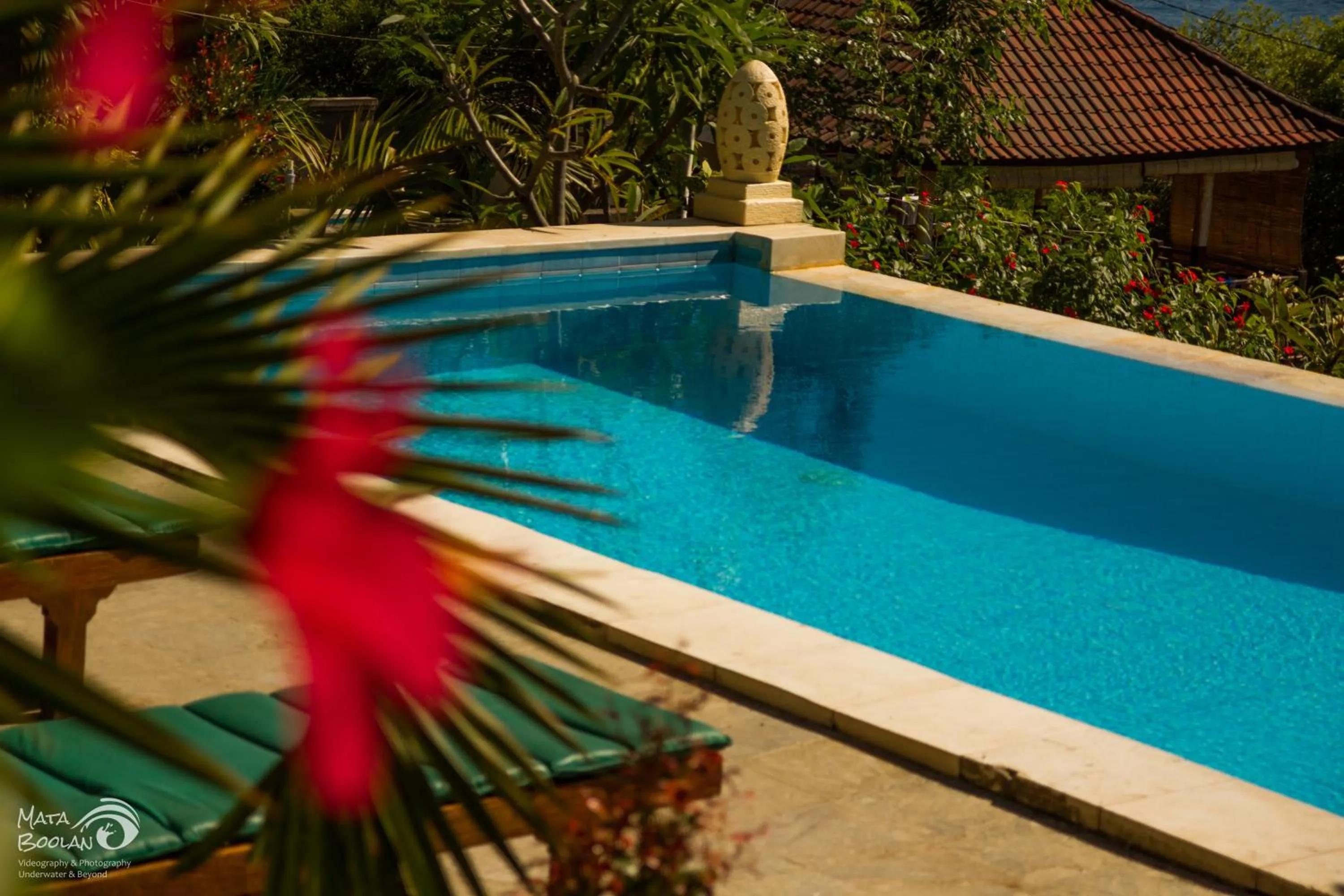 Pool view in Beten Waru Bungalow and Restaurant