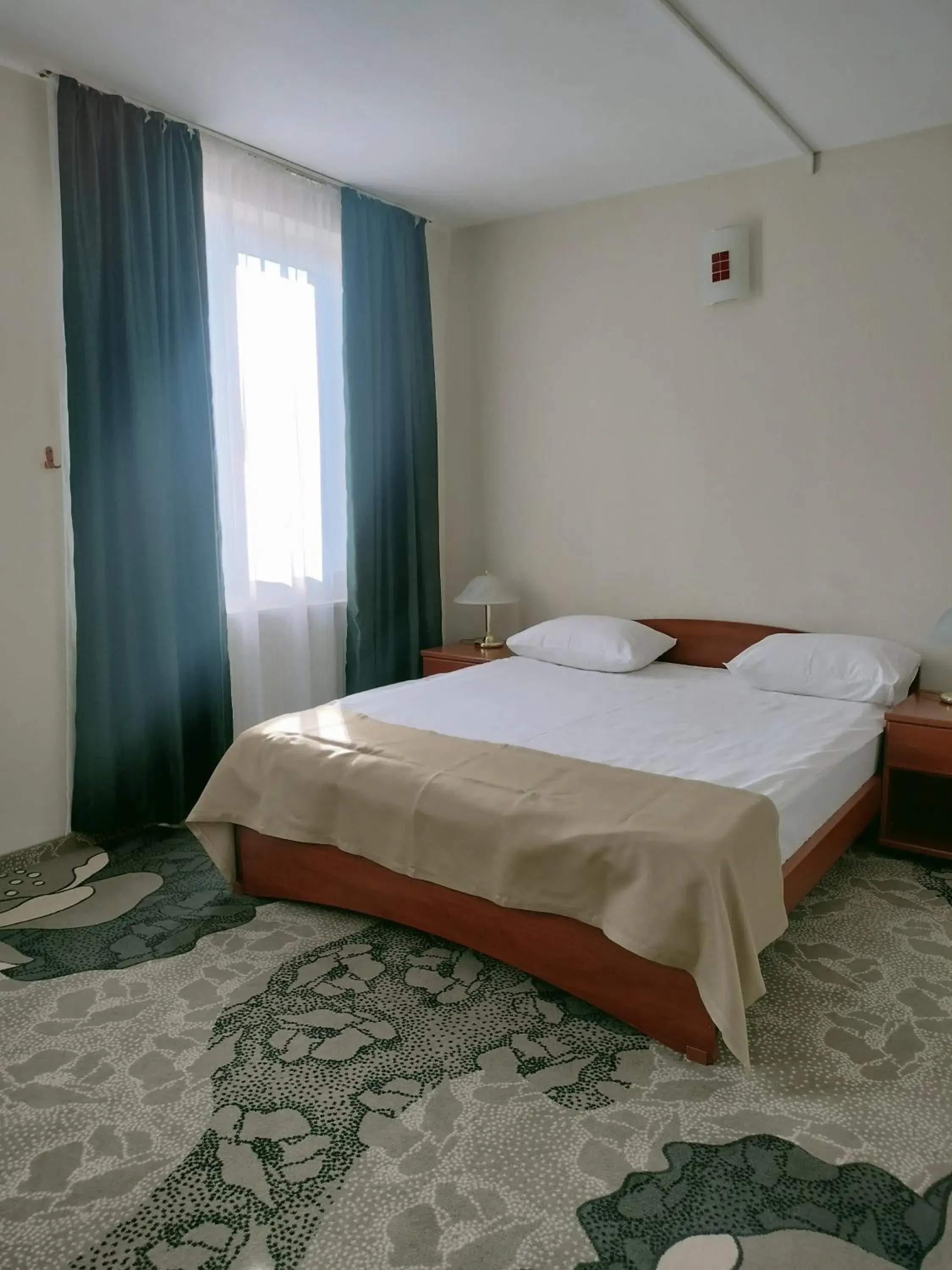 Standard Double Room in Hotel Bistrita Standard Double Room in Hotel Bistrita