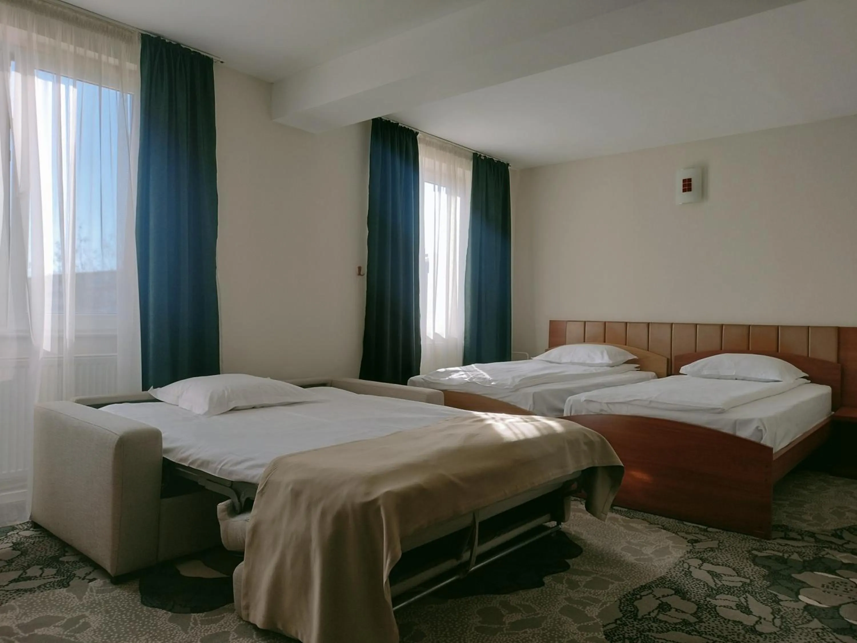 Bed in Hotel Bistrita