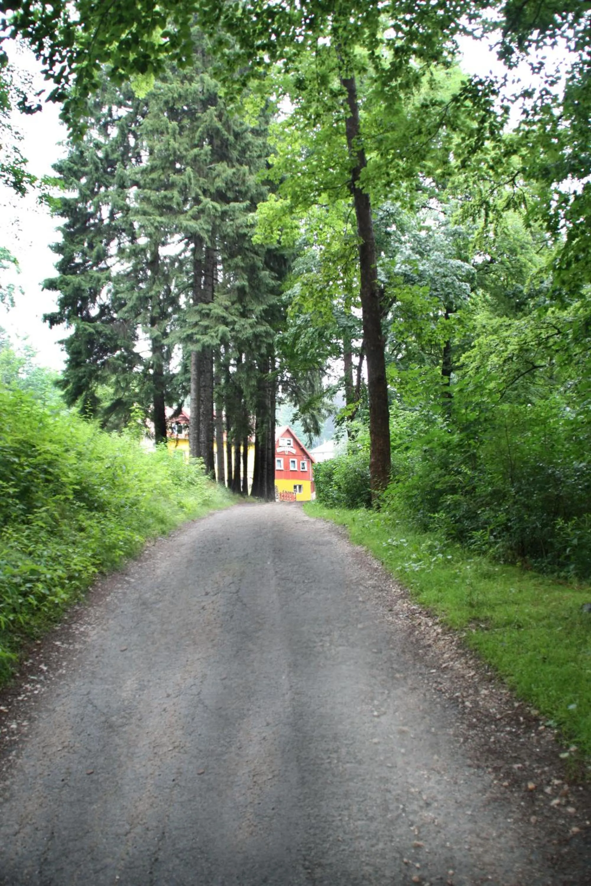 Natural landscape in Harmont Montis- dawna Zającówka- IDEALNA lokalizacja - leśna enklawa w centrum miasta! Sauna, masaże, zabiegi spa!