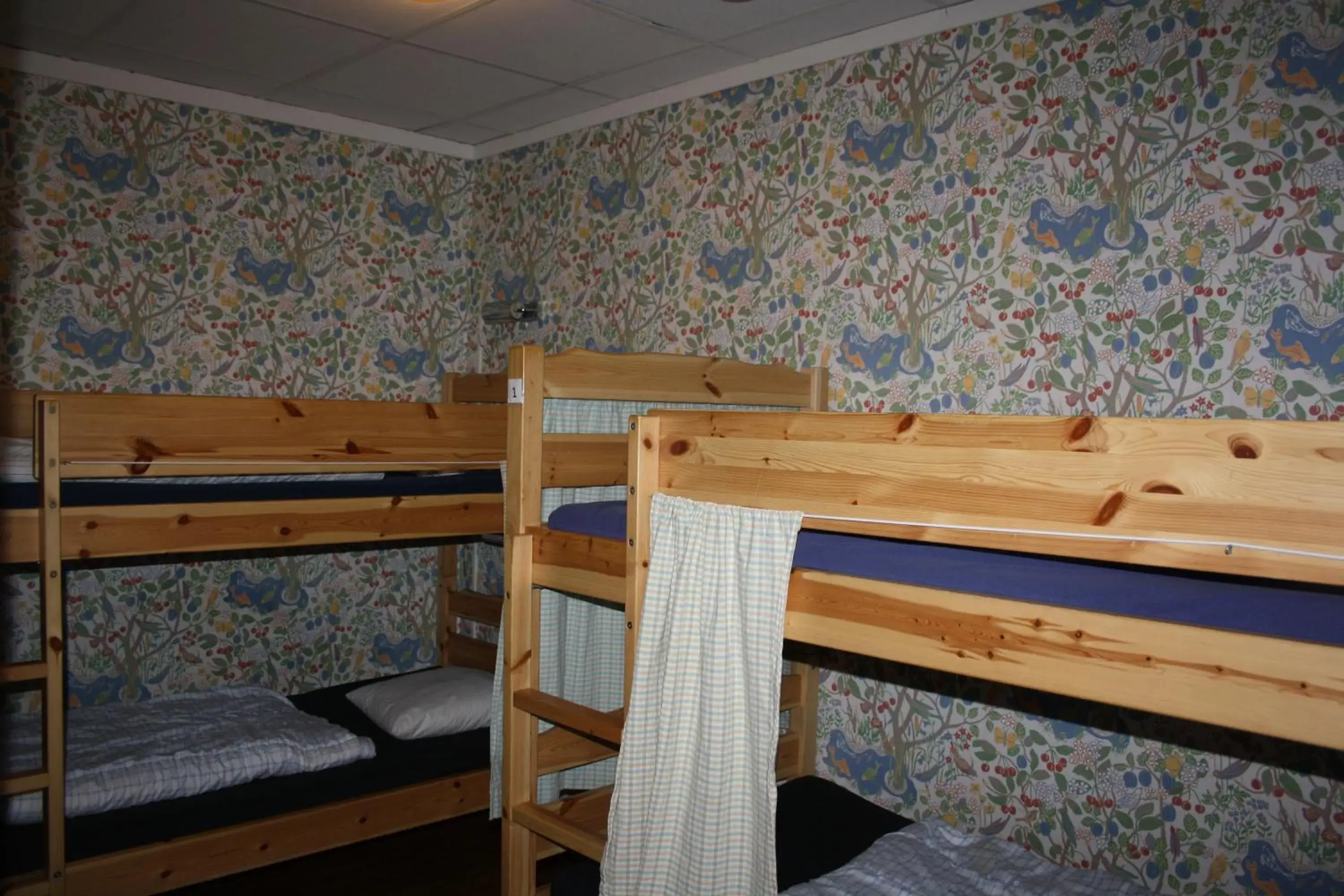 4-Bed Mixed Dormitory Room in Hostel Bed & Breakfast 4-Bed Mixed Dormitory Room in Hostel Bed & Breakfast