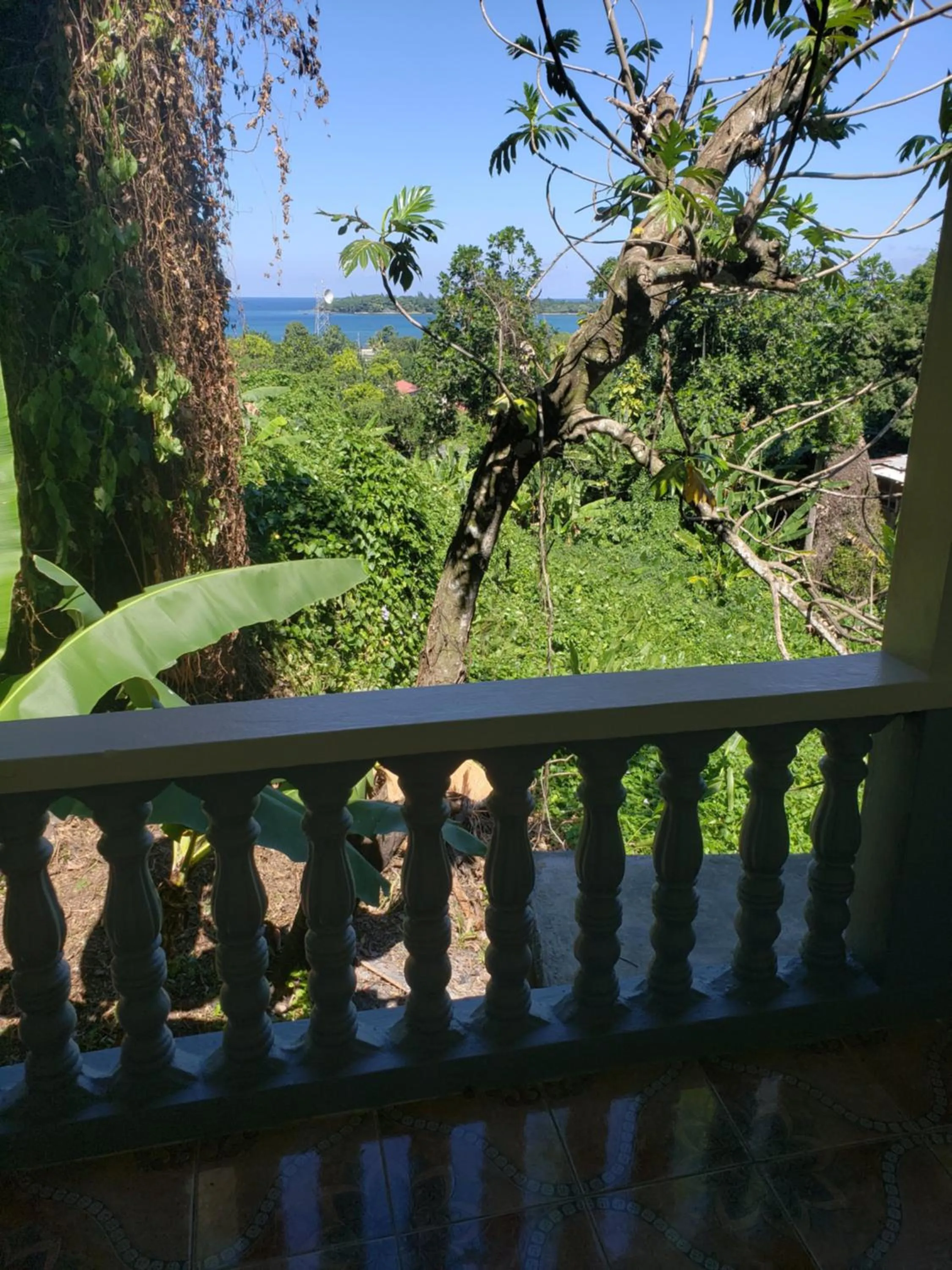 Balcony/Terrace in Viva Violas