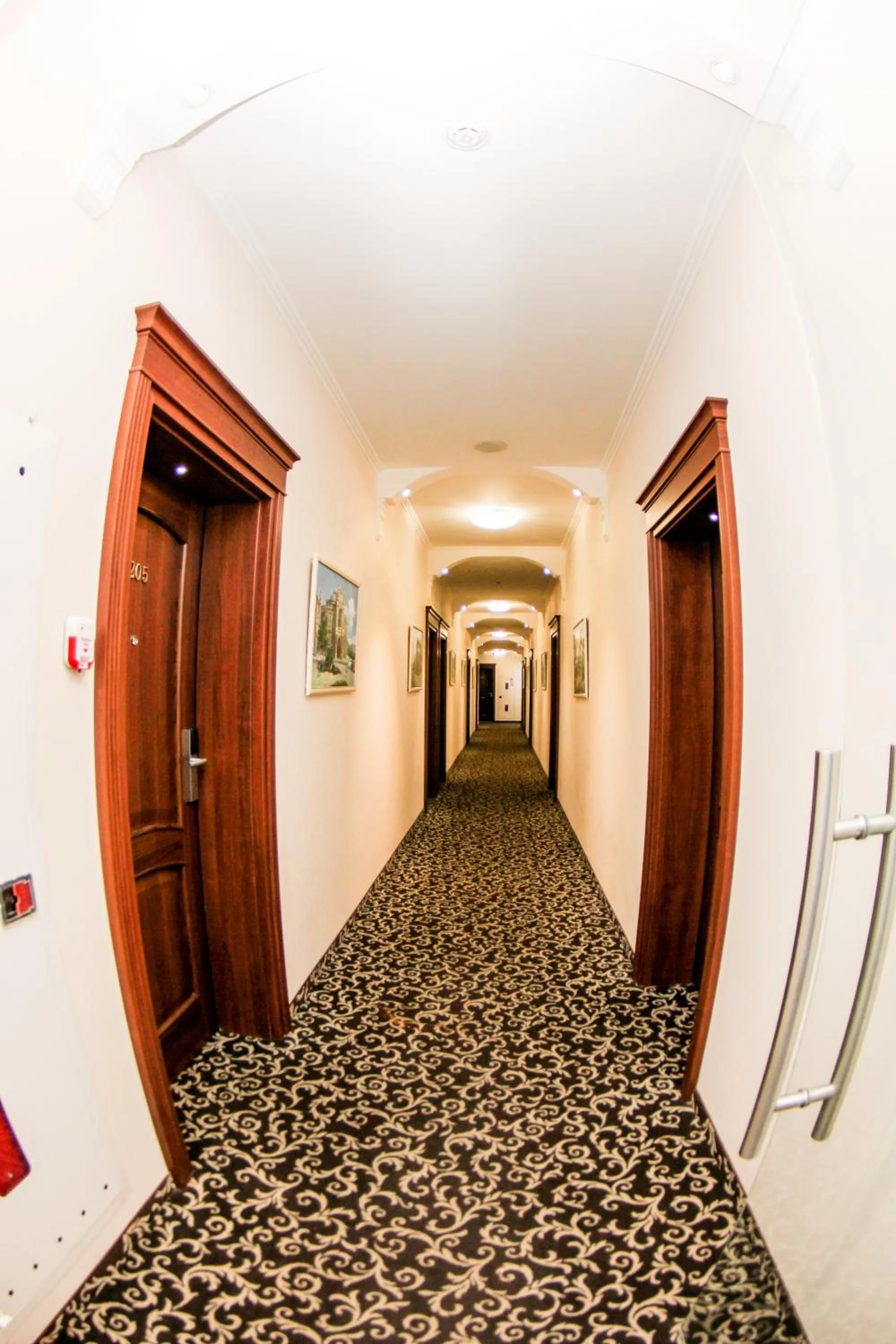 Property building in Hotel 52