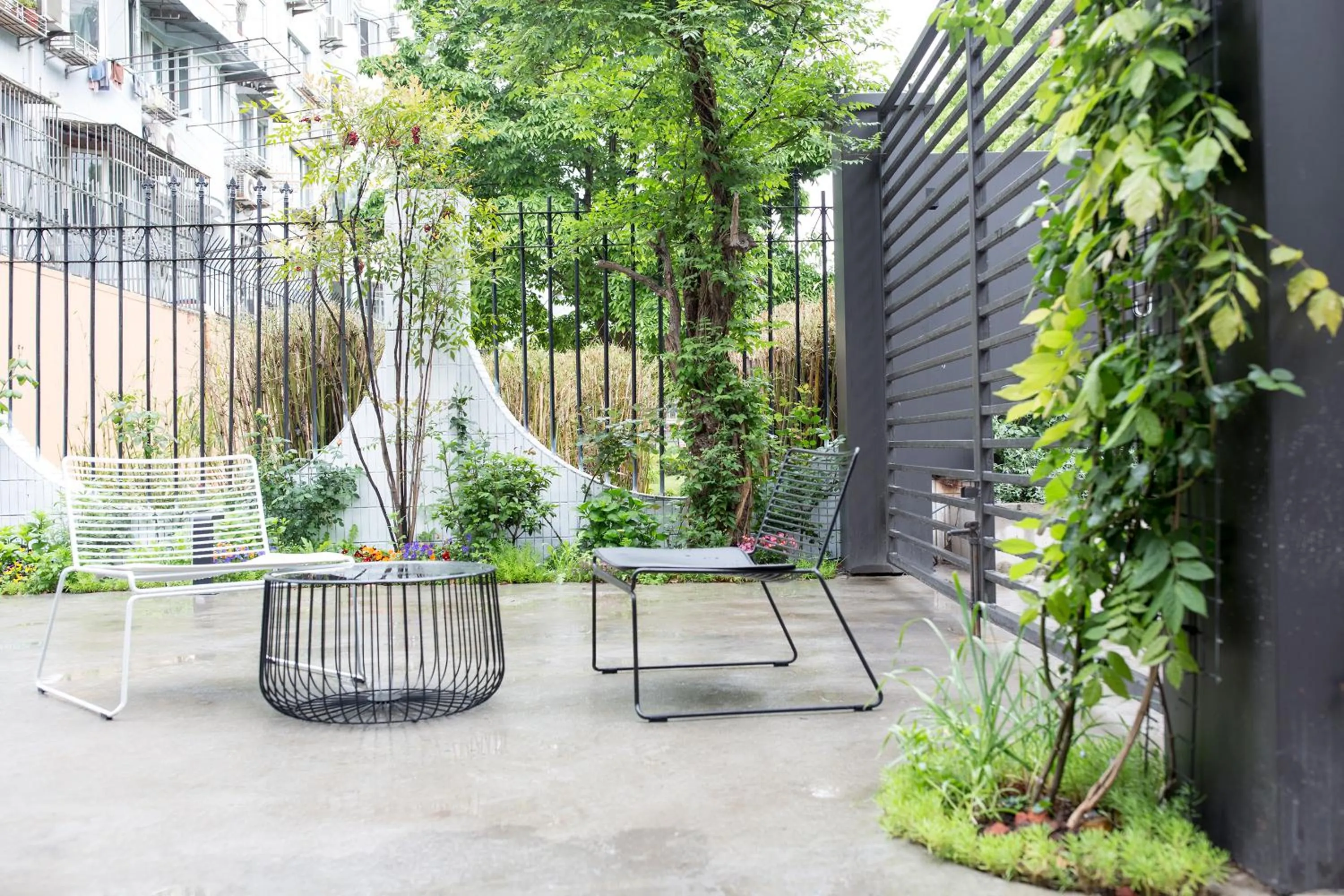 Garden in Urban Rosa Cafe&Inn