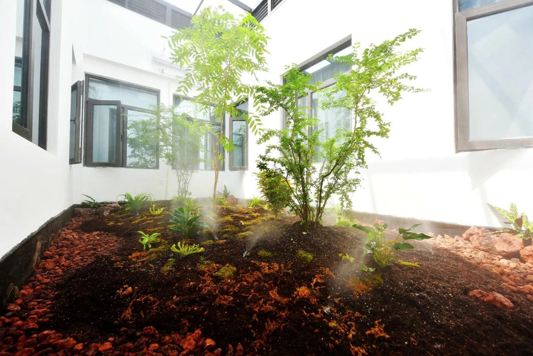 Garden in Urban Rosa Cafe&Inn