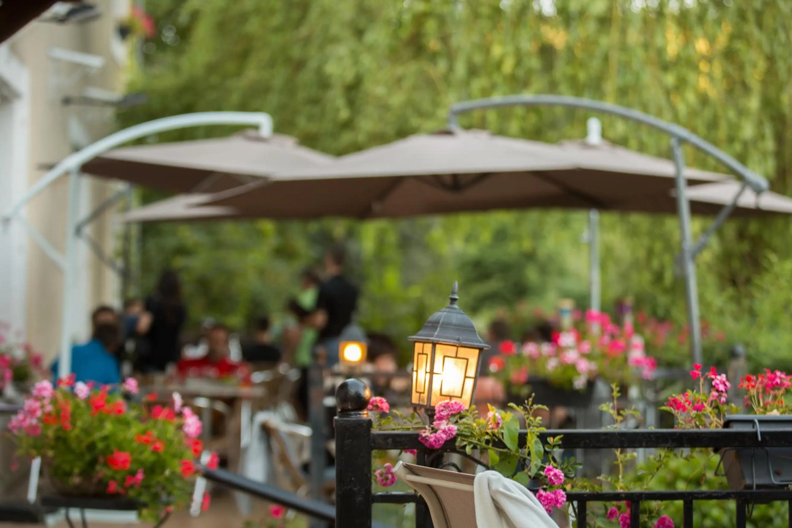 Patio in Logis hôtel restaurant Auberge de l'Espinouse