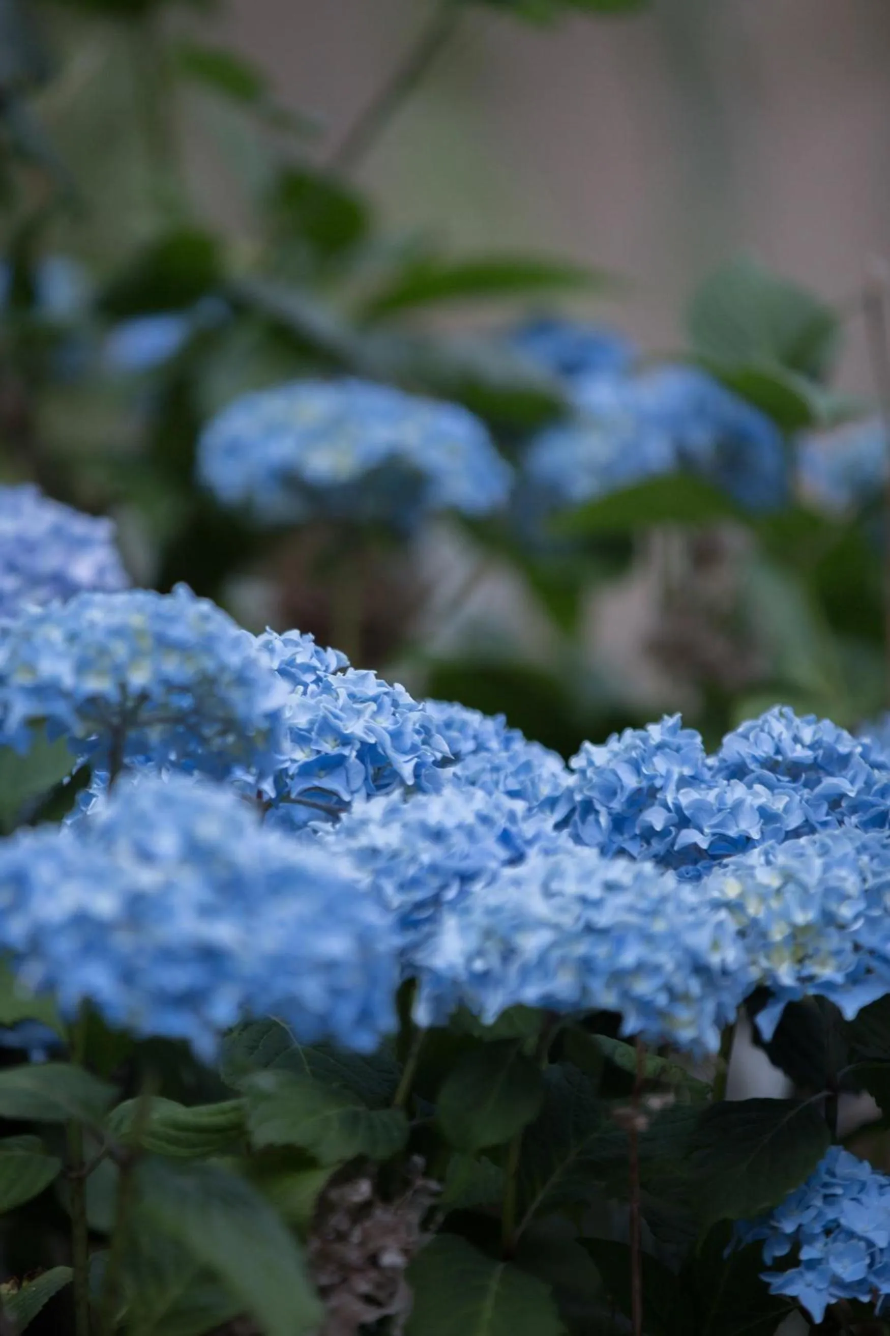 Balcony/Terrace in Logis hôtel restaurant Auberge de l'Espinouse