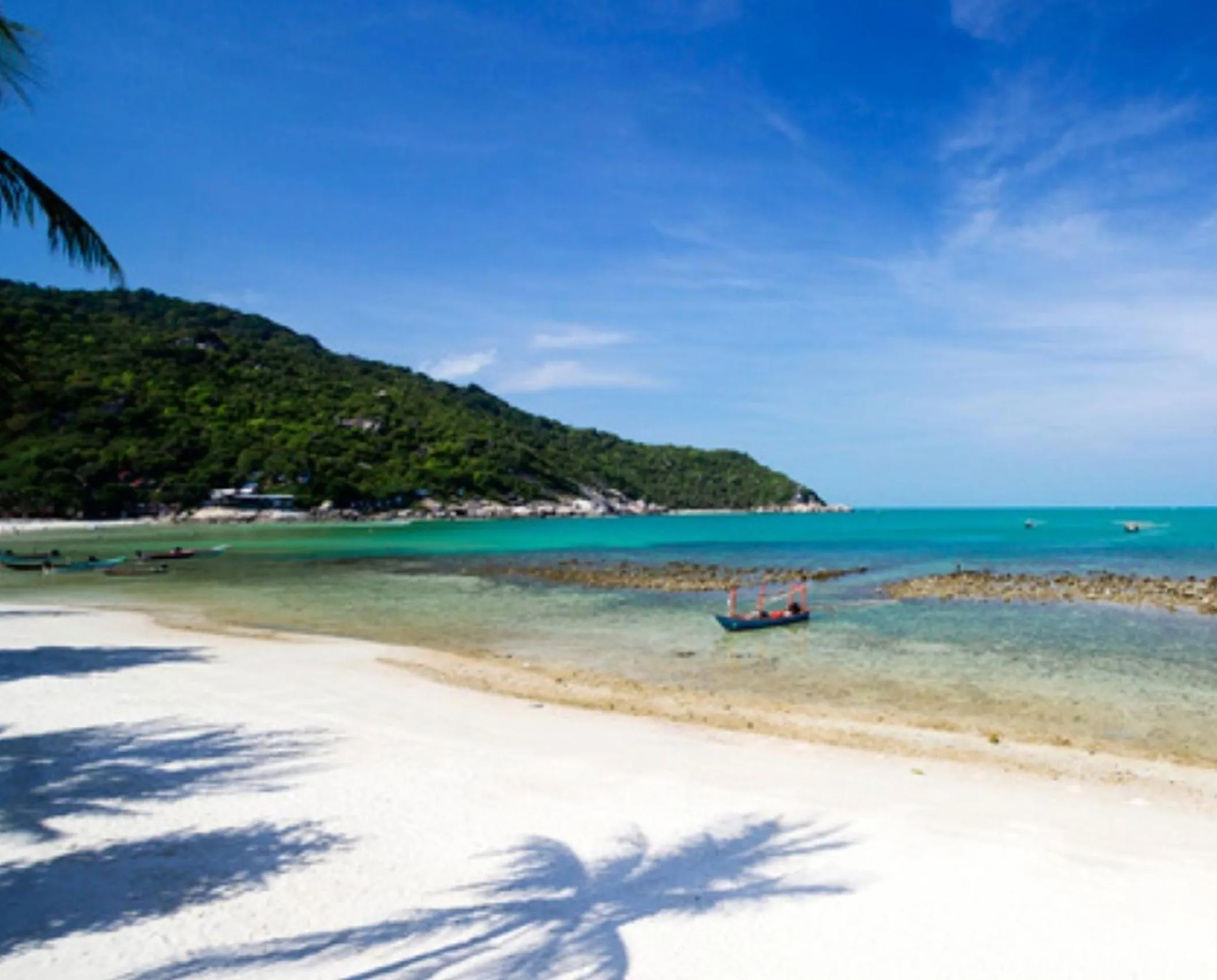 Natural landscape in Paradise Bungalows