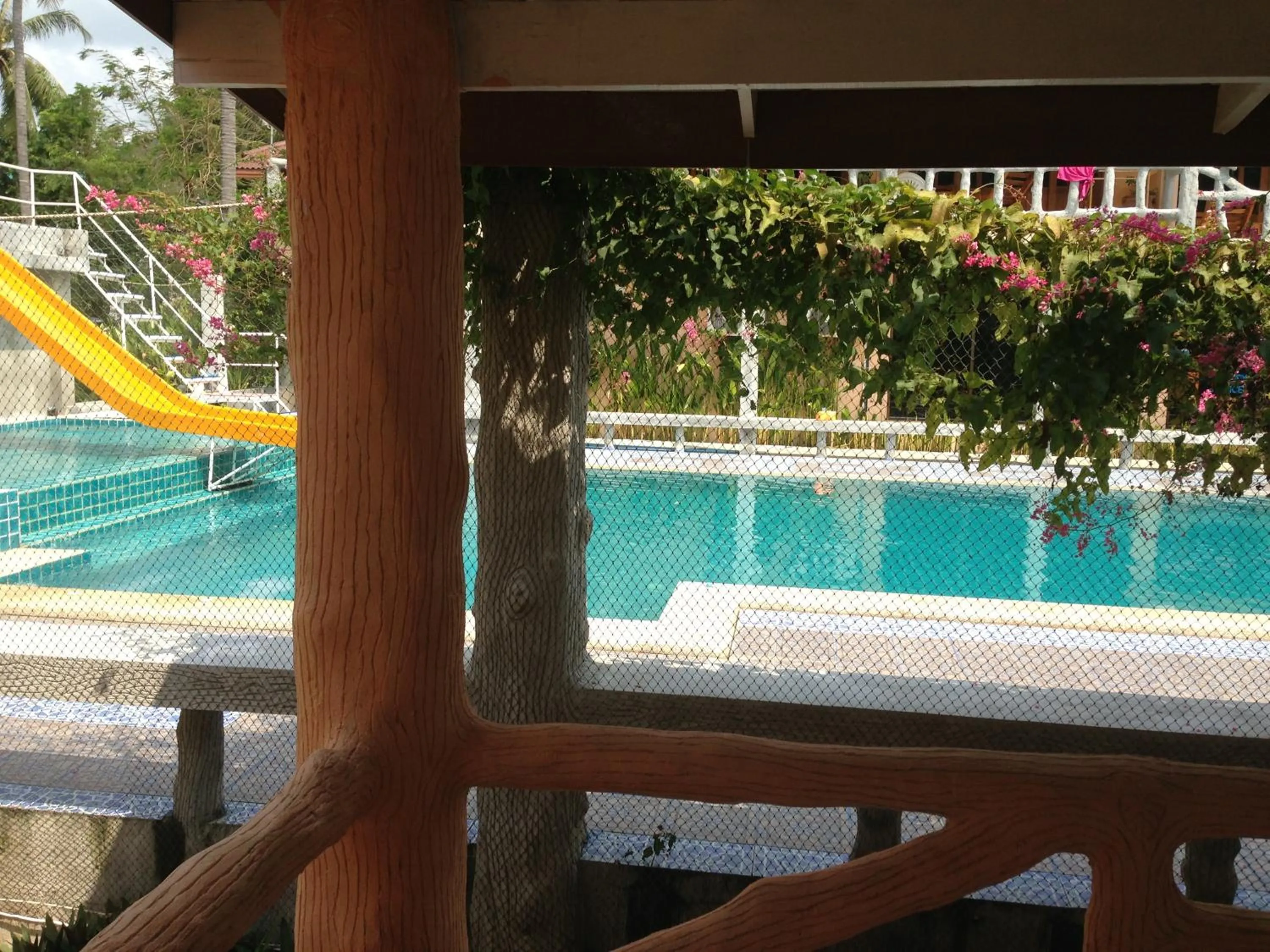 Swimming pool in Paradise Bungalows