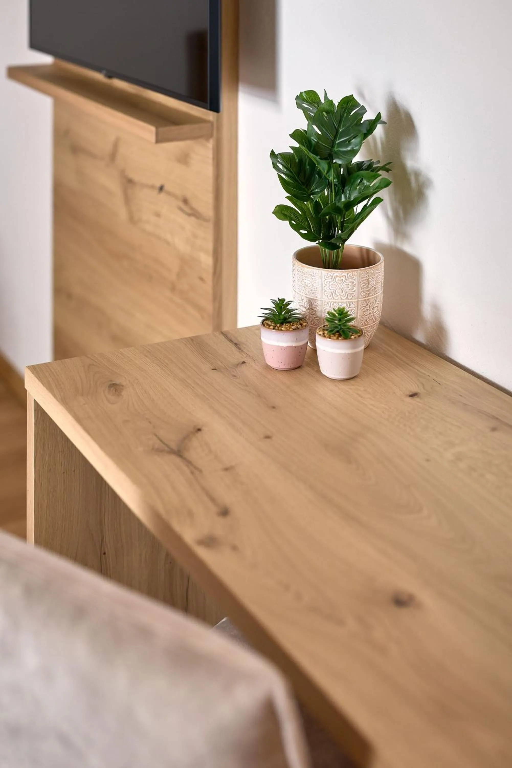 TV and multimedia in Hotel Schmuckhof