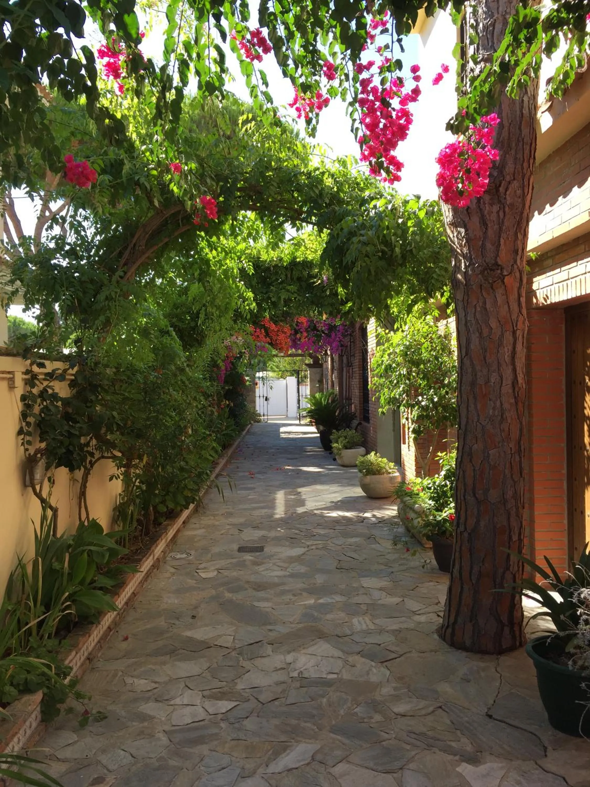 Facade/entrance in Hospedería Santiago