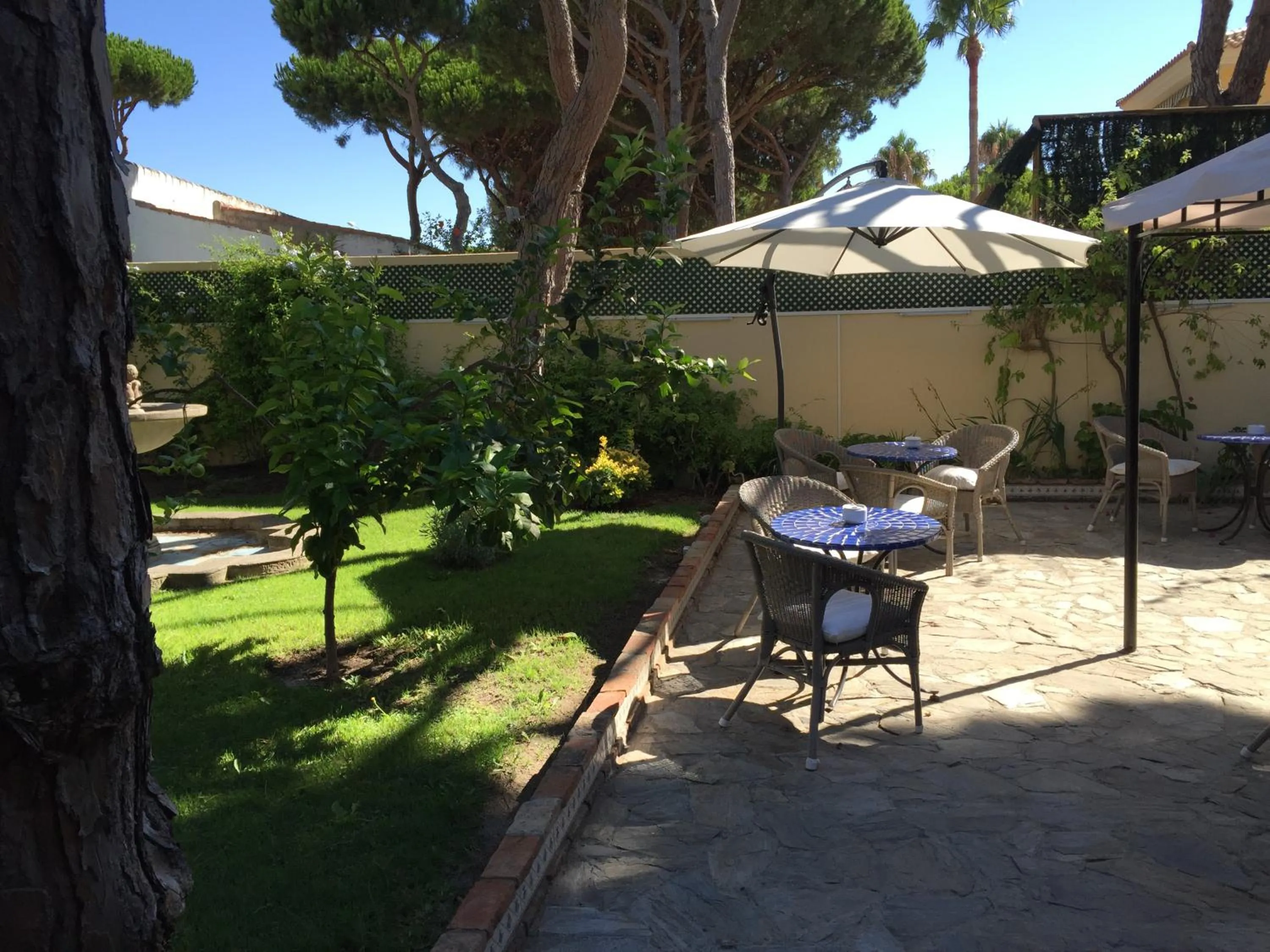 Garden in Hospedería Santiago