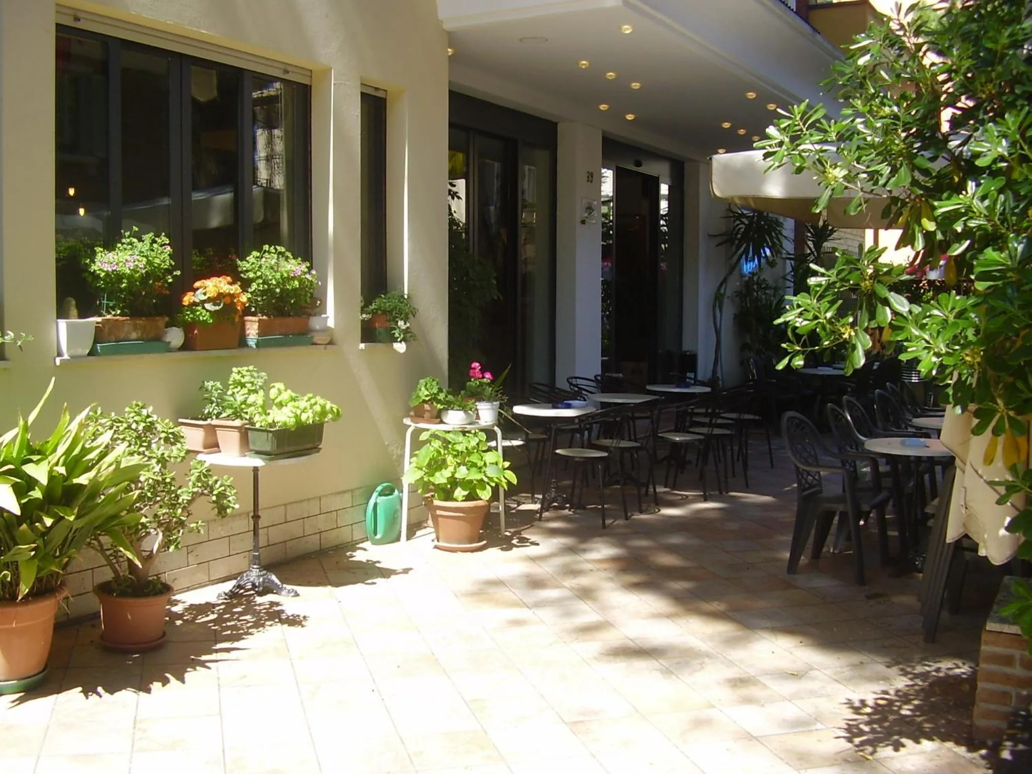 Garden in Hotel Cortina