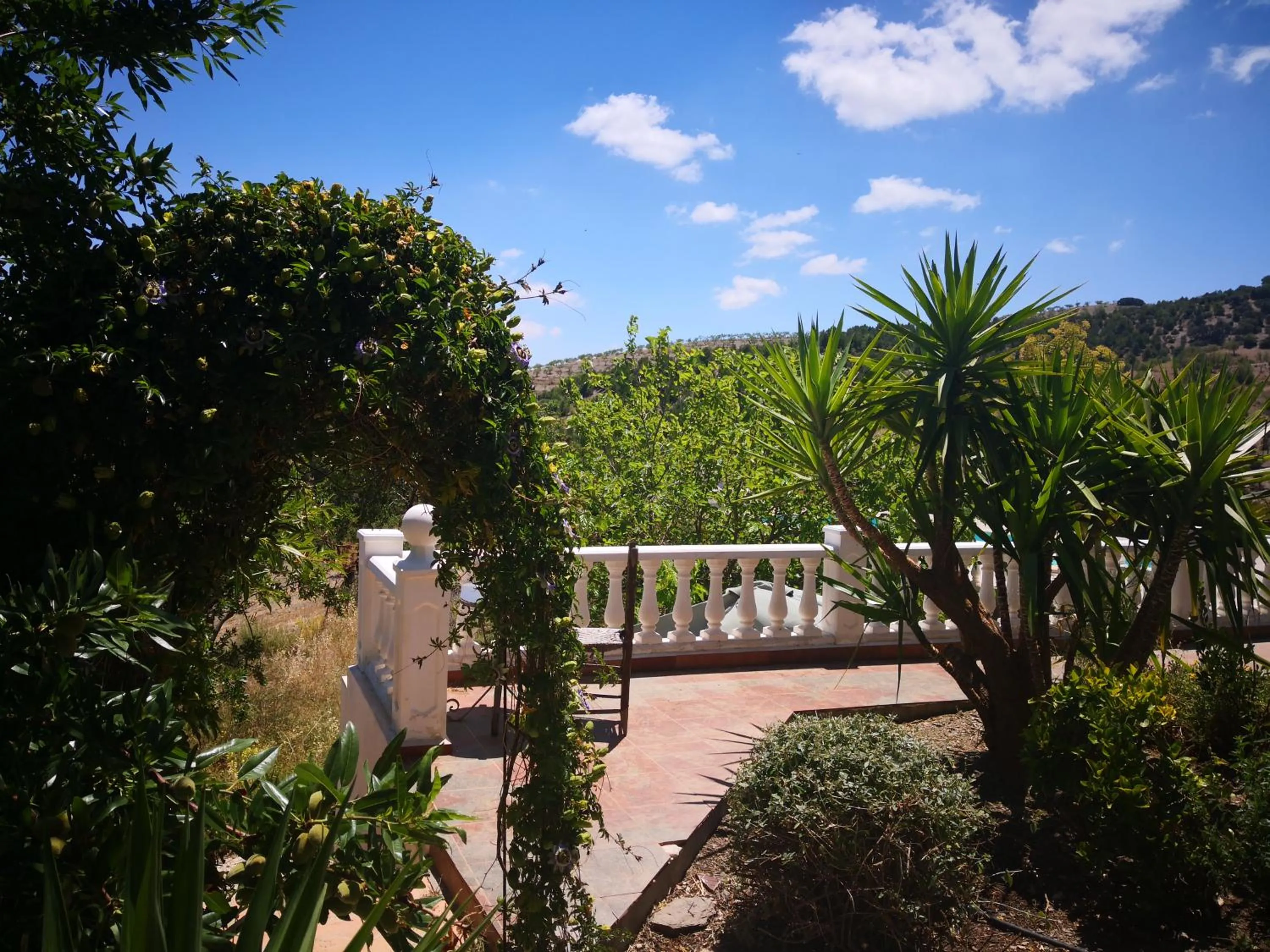 Garden in Casa Joya