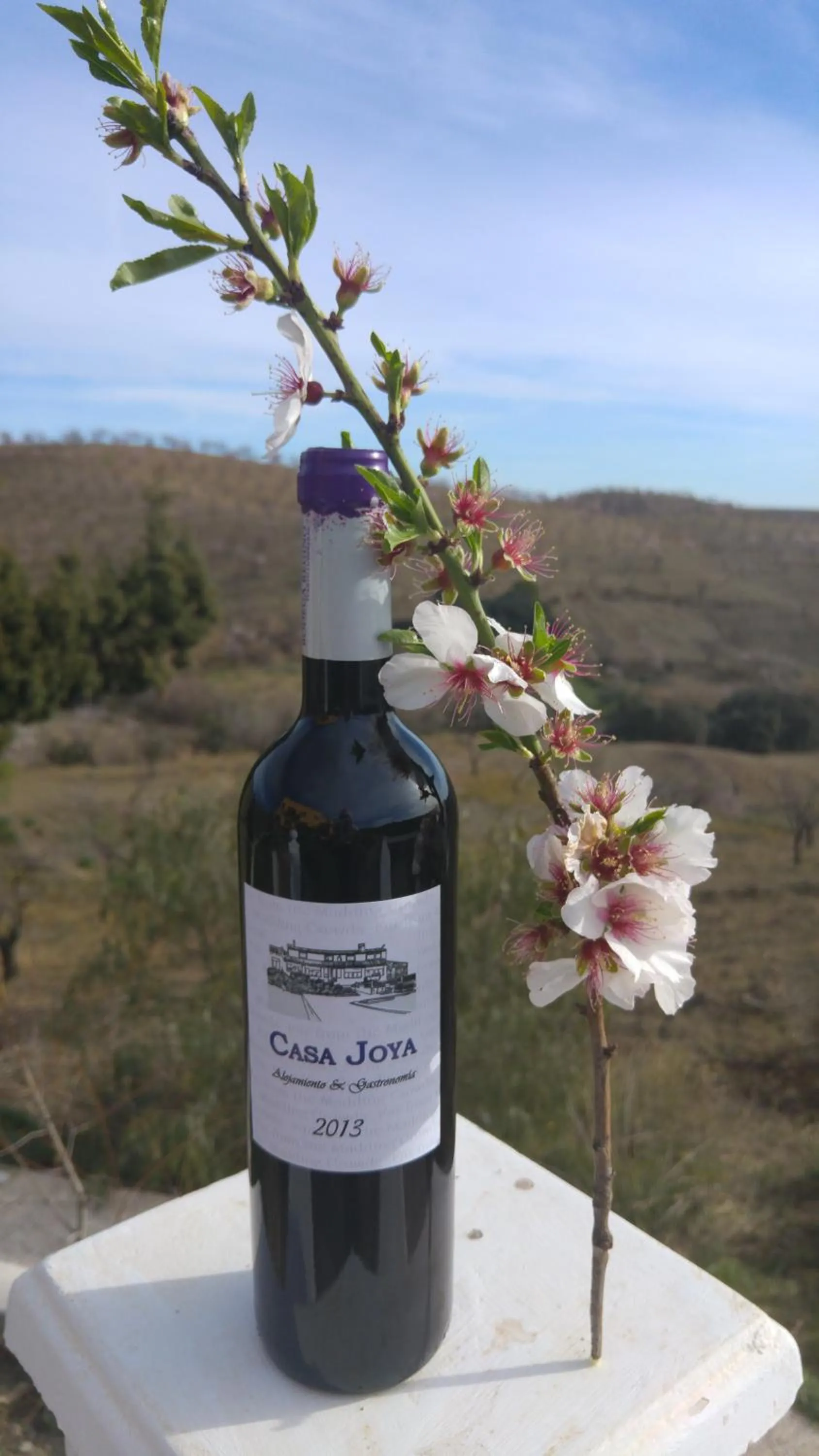 Alcoholic drinks in Casa Joya