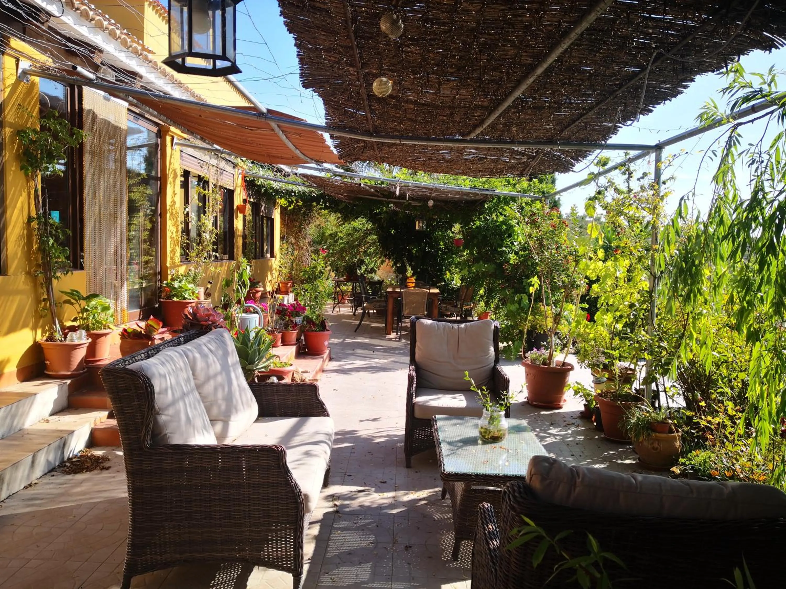 Patio in Casa Joya