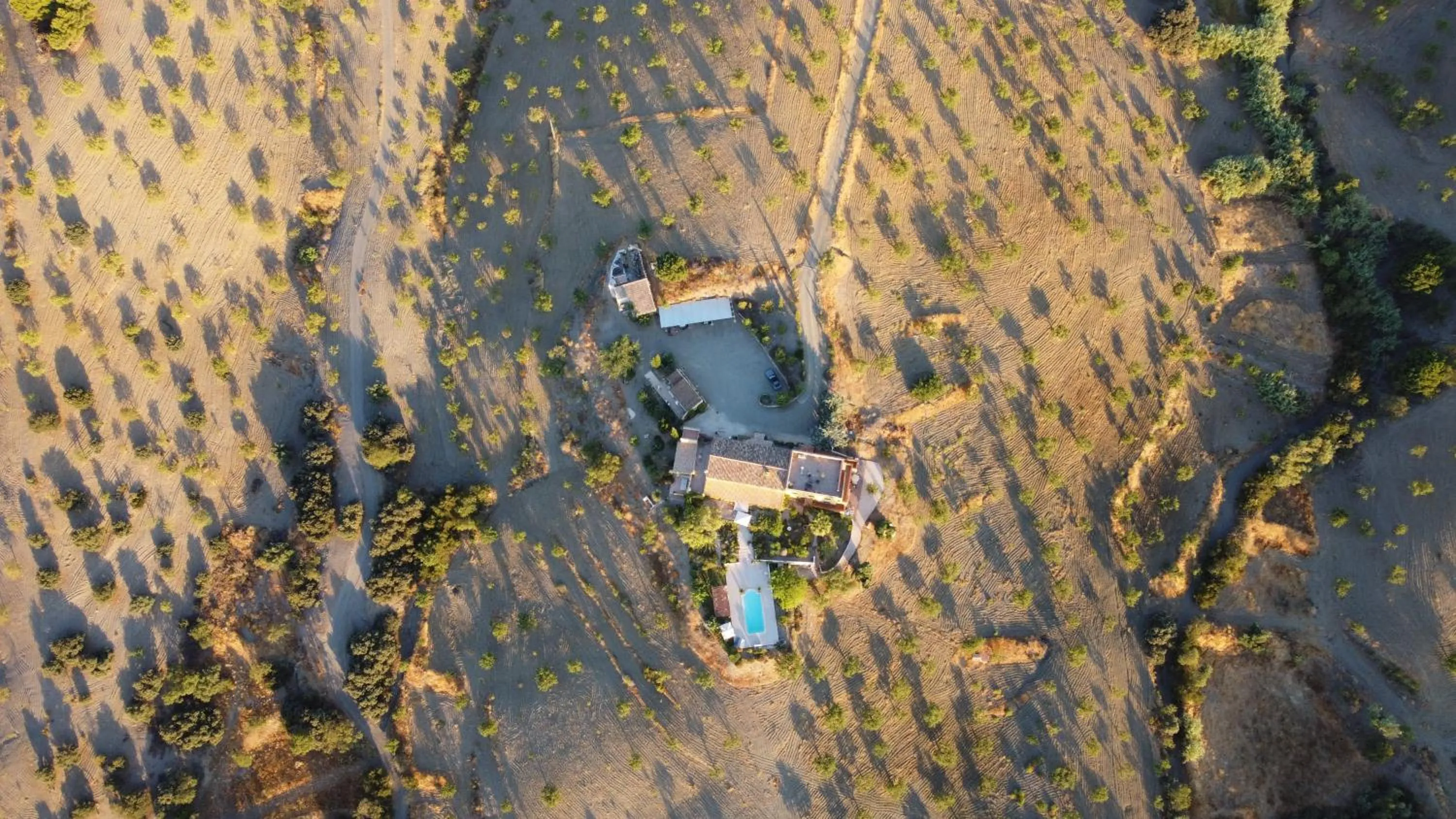 Bird's eye view in Casa Joya