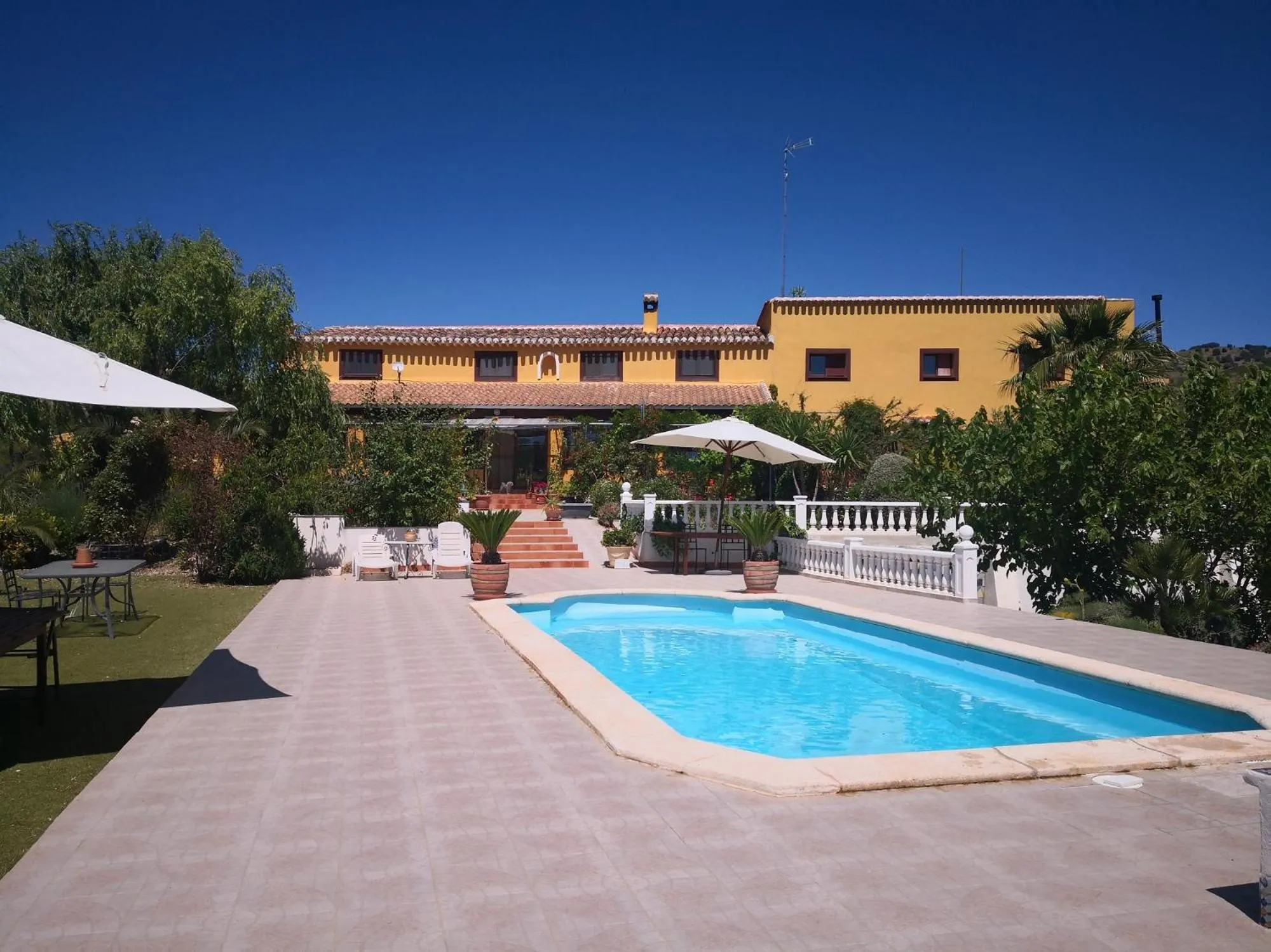 Swimming pool in Casa Joya